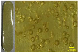 Polymers 13 01642 i002 Polymers 13 01642 i002