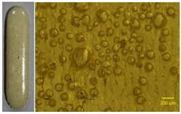 Polymers 13 01642 i003 Polymers 13 01642 i003