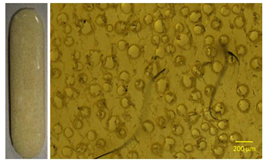 Polymers 13 01642 i004 Polymers 13 01642 i004