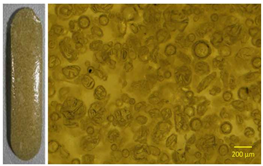 Polymers 13 01642 i006 Polymers 13 01642 i006