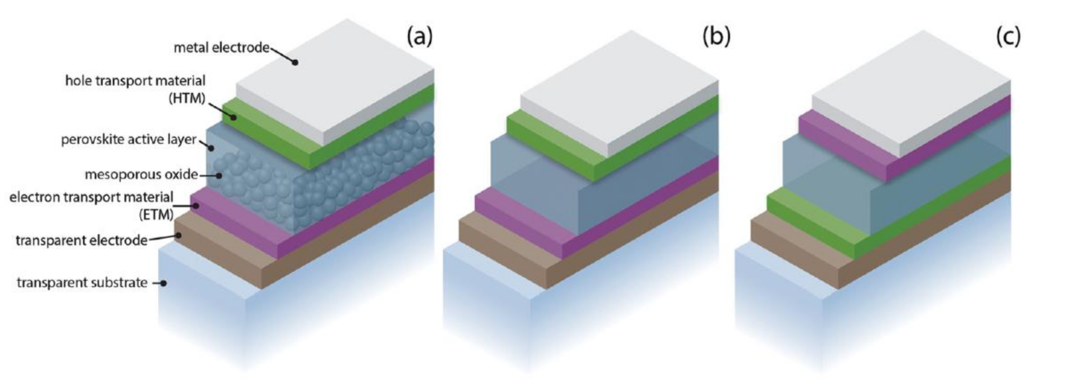 Polymers 13 01652 g003