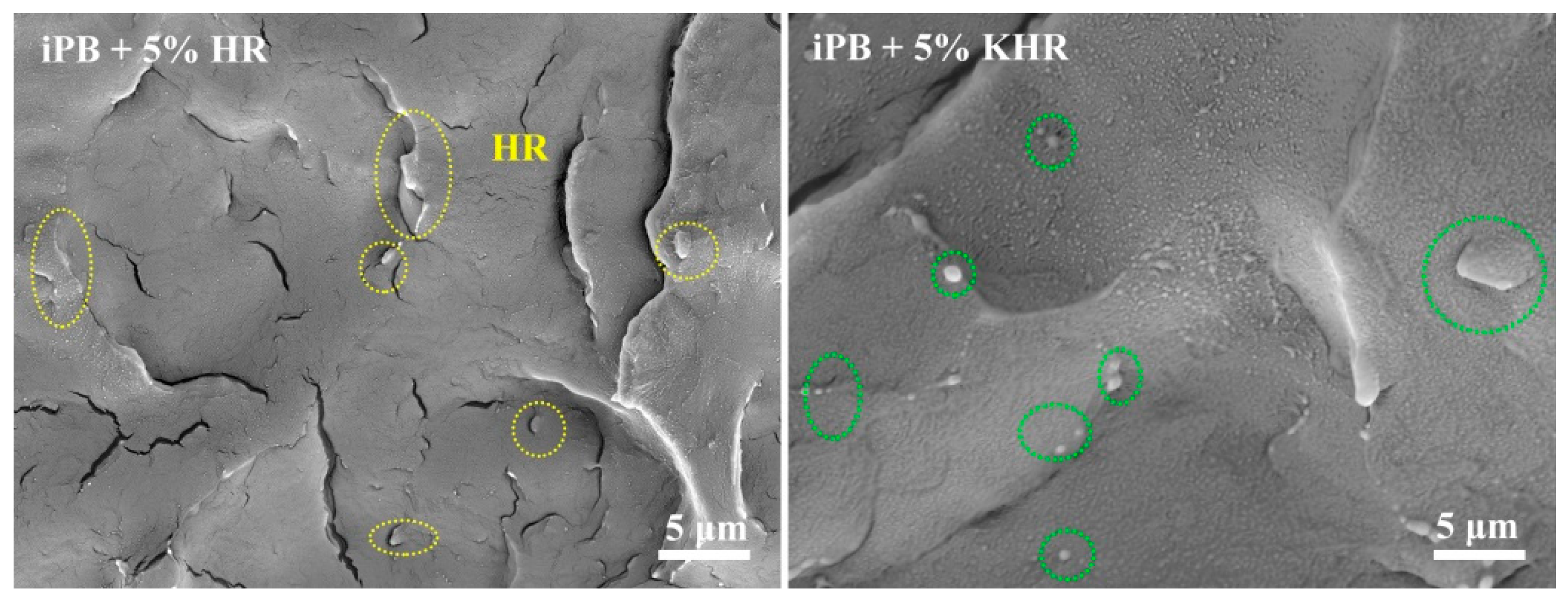 Polymers 13 01654 g007