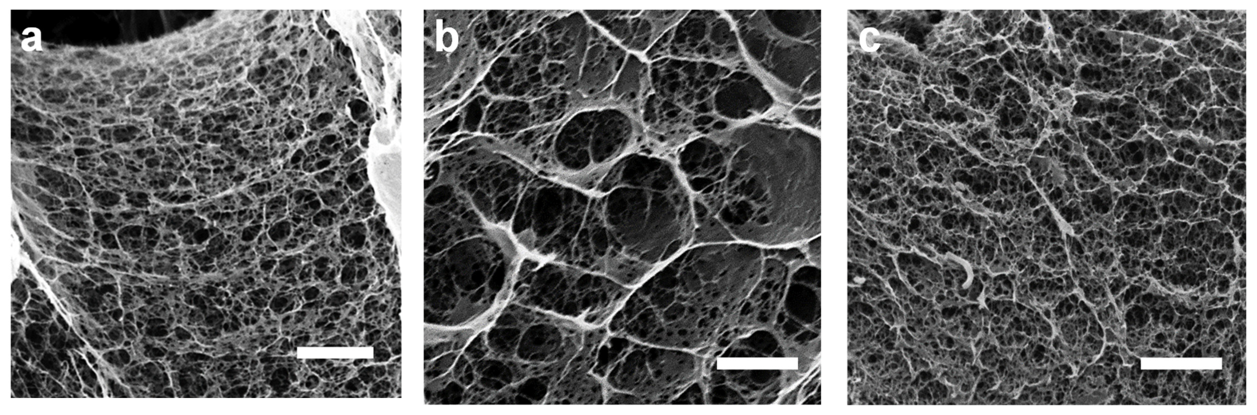 Polymers 13 01663 g004