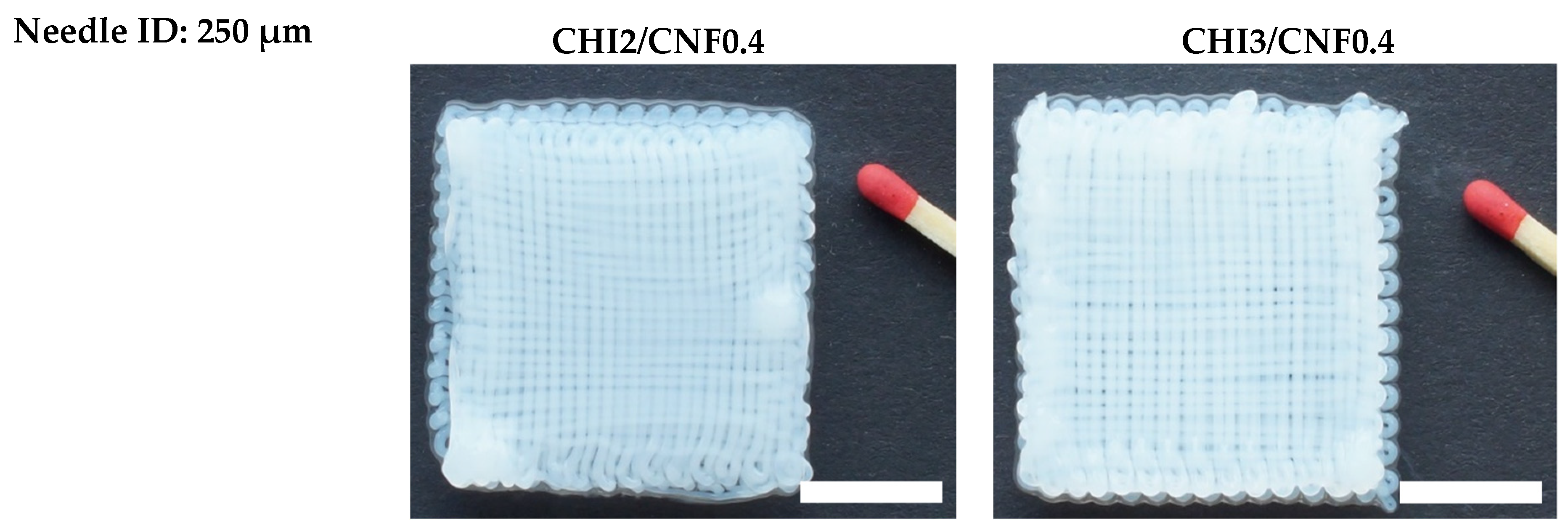 Polymers 13 01663 g008b