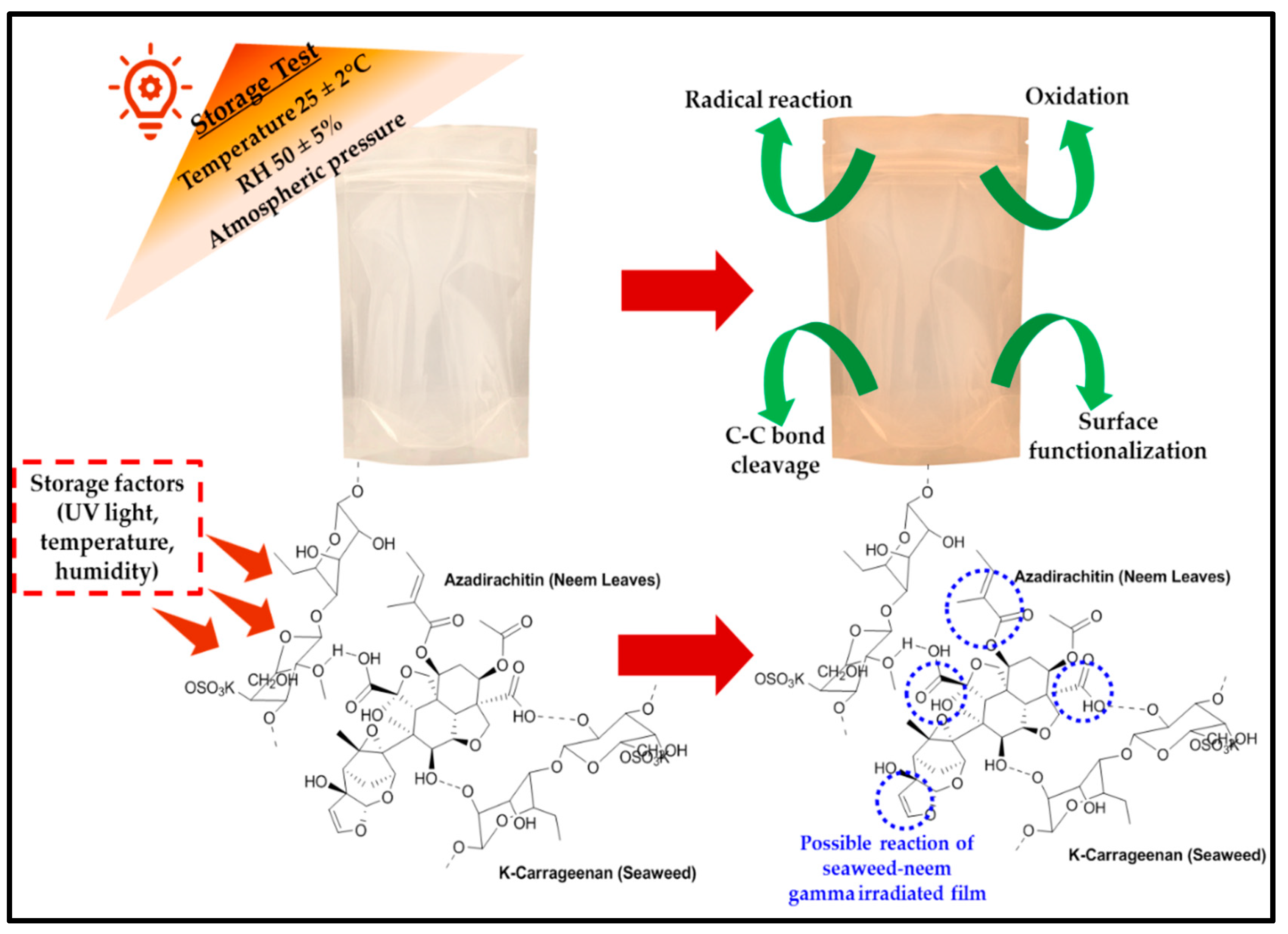 Polymers 13 01664 g007