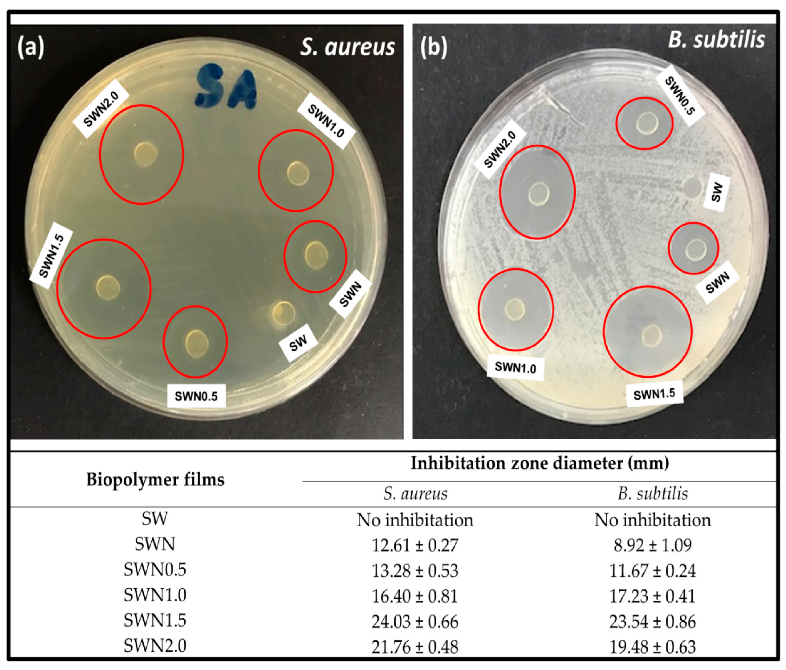Polymers 13 01664 g008