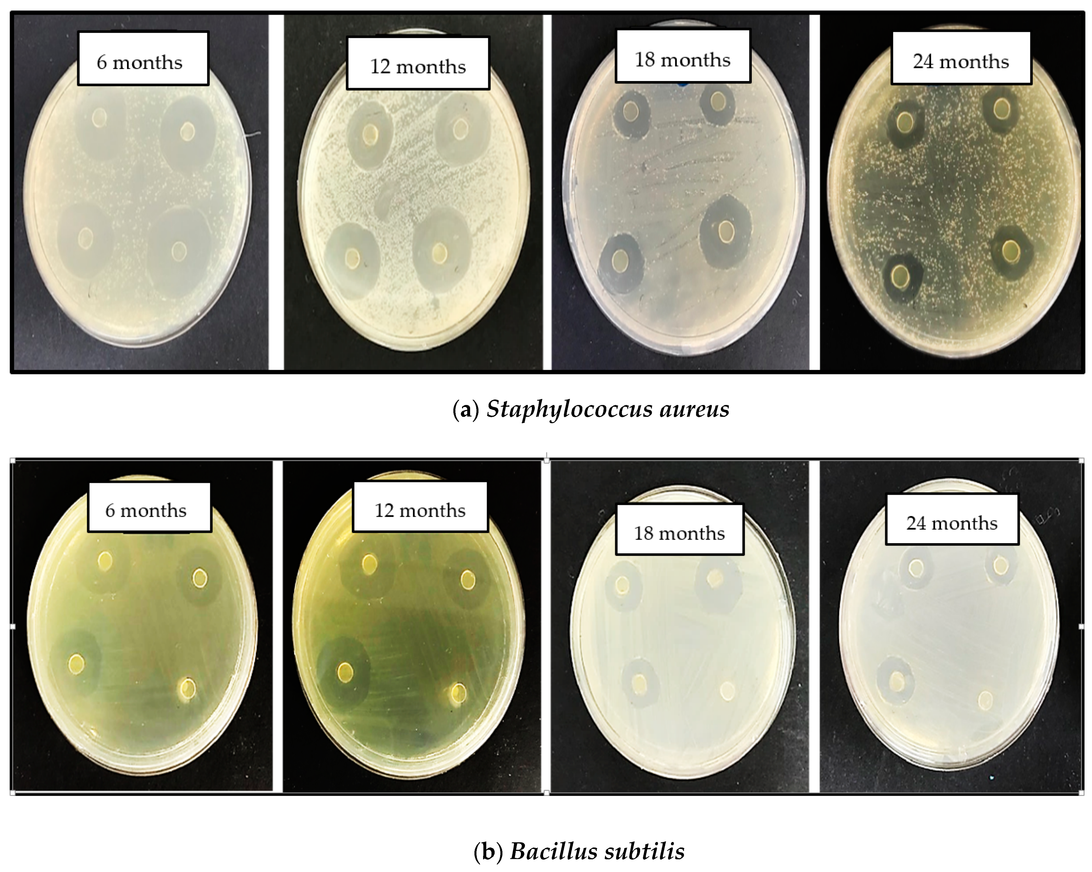 Polymers 13 01664 g009