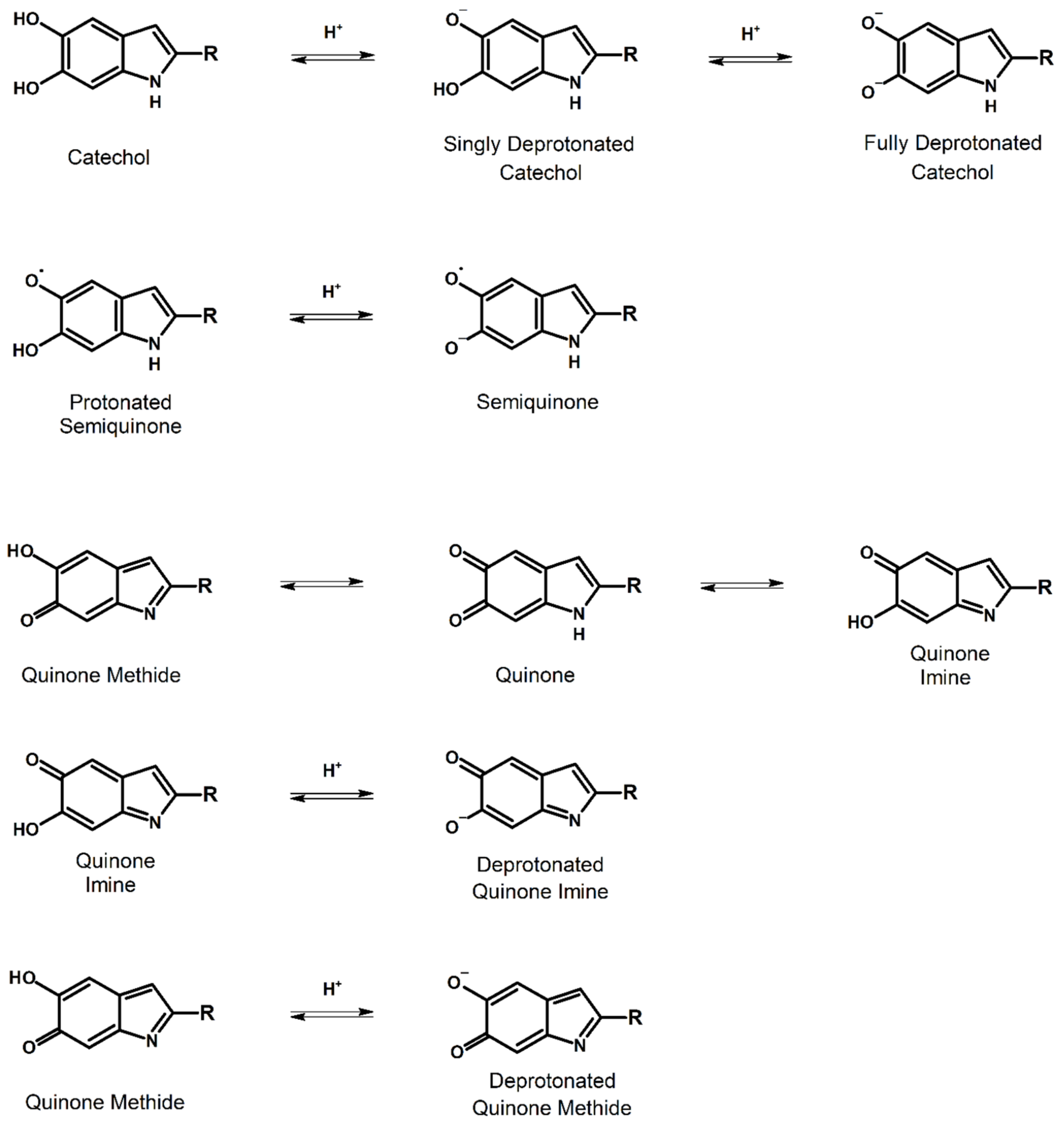 Polymers 13 01670 g001 Polymers 13 01670 g001