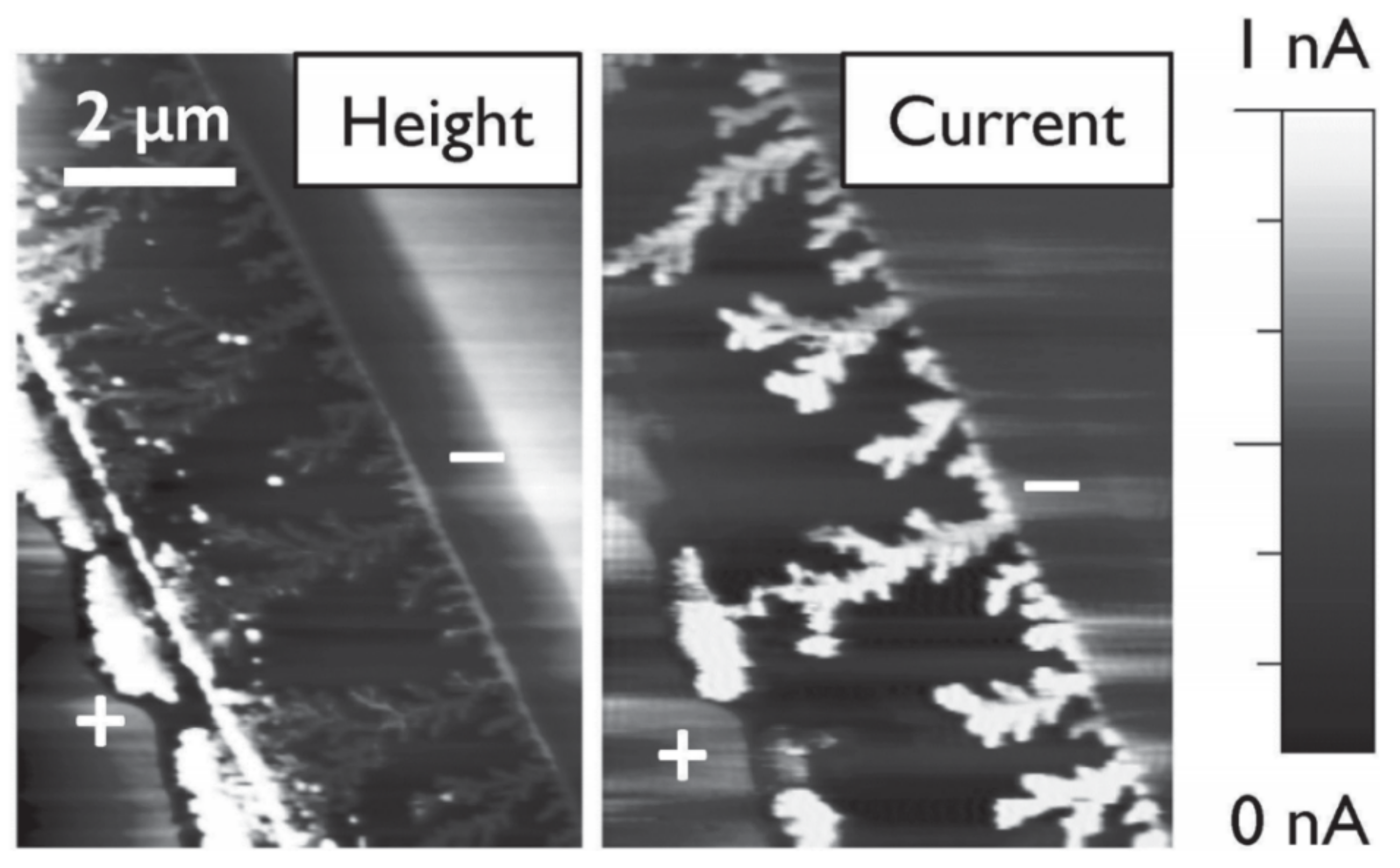 Polymers 13 01670 g013 Polymers 13 01670 g013