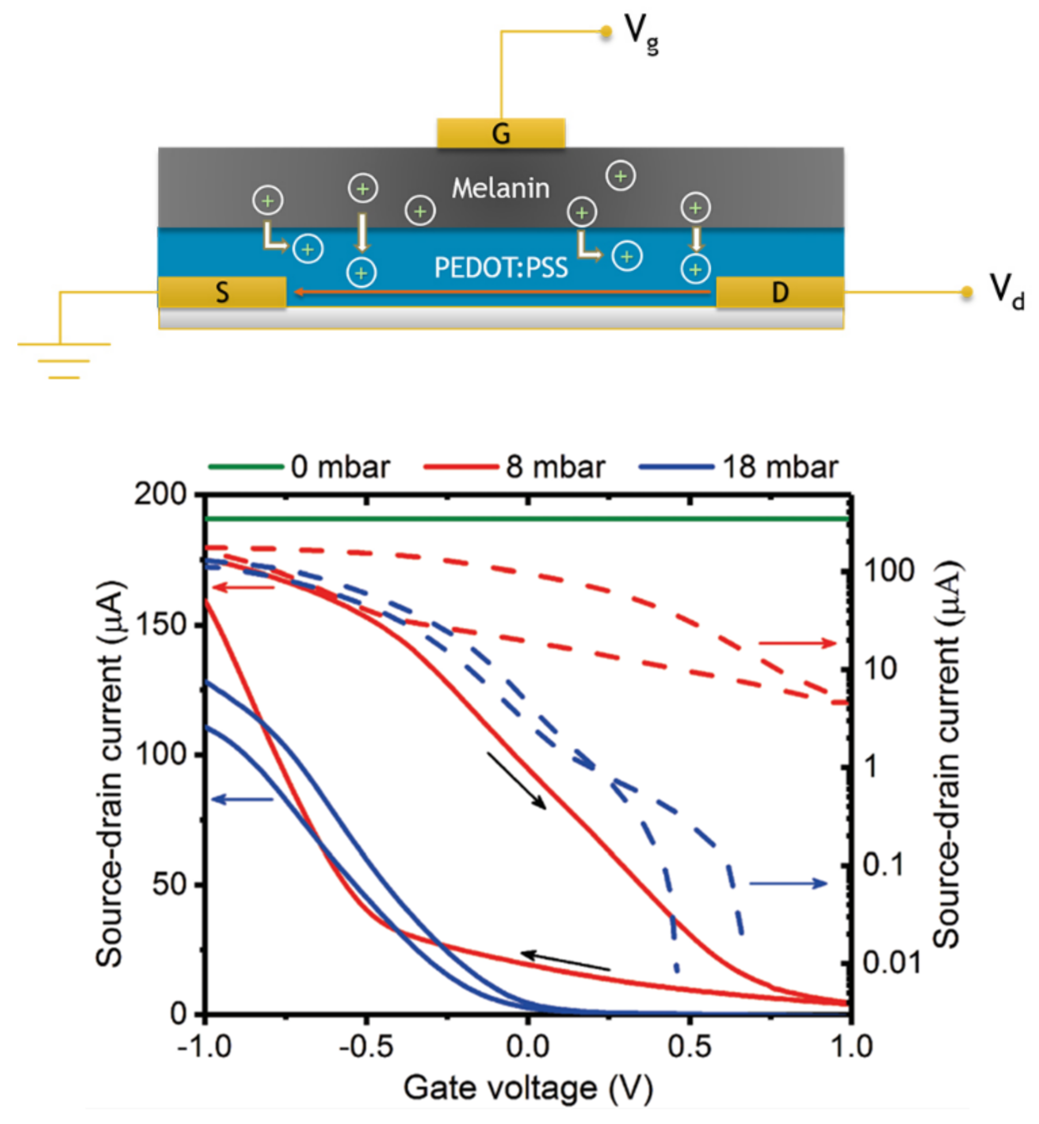 Polymers 13 01670 g014 Polymers 13 01670 g014