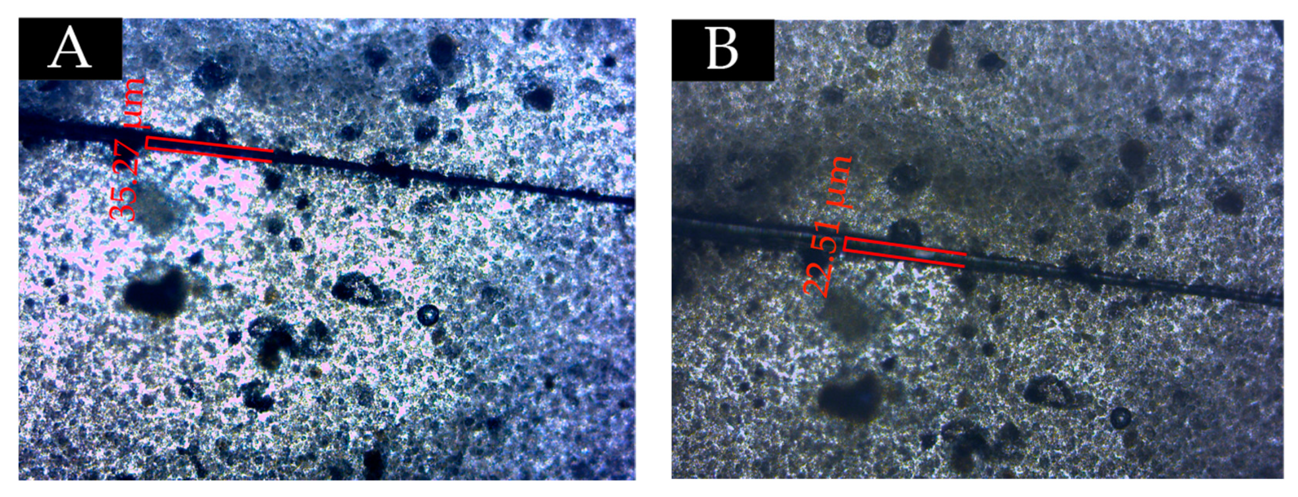 Polymers 13 01674 g016