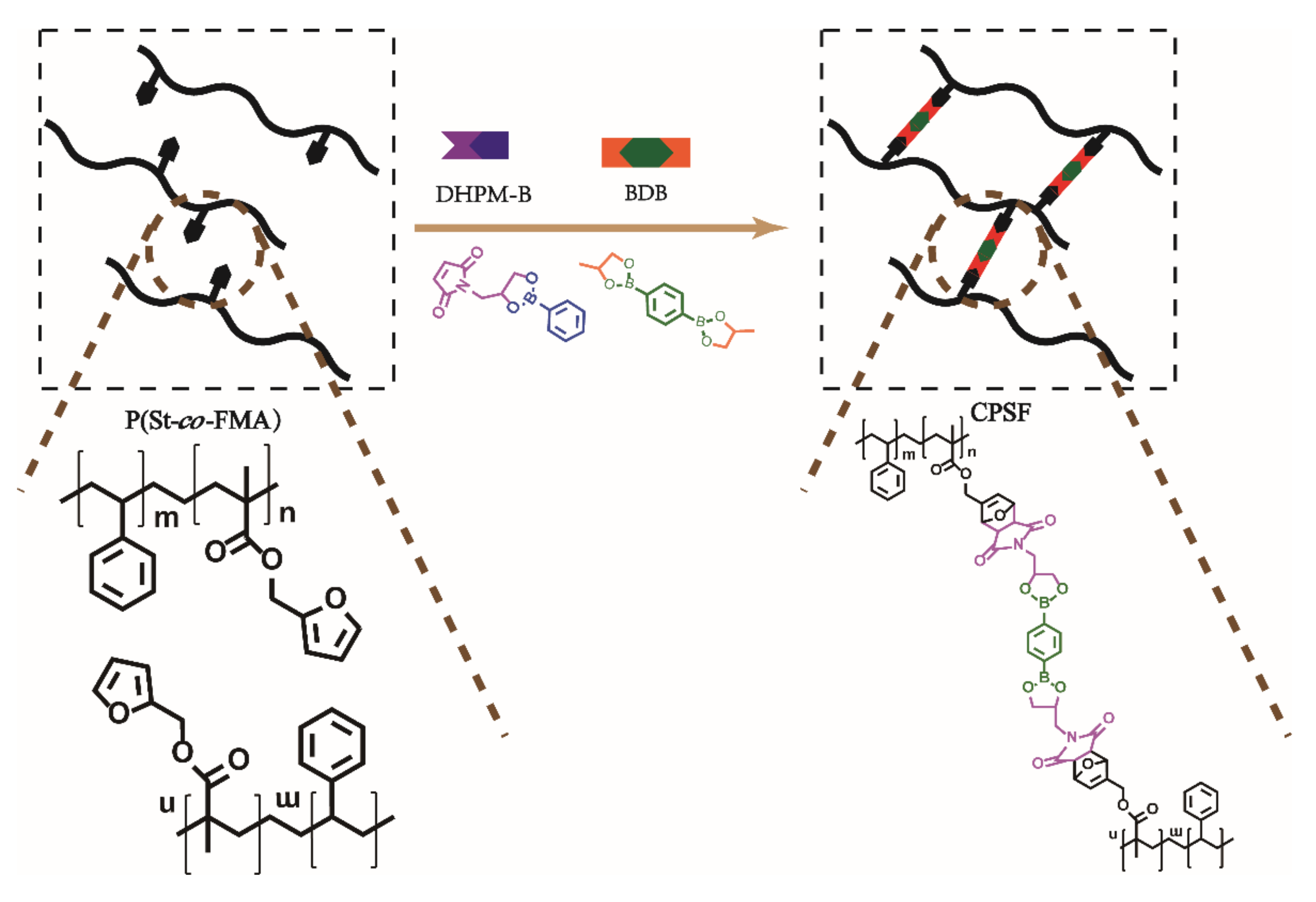 Polymers 13 01679 g001
