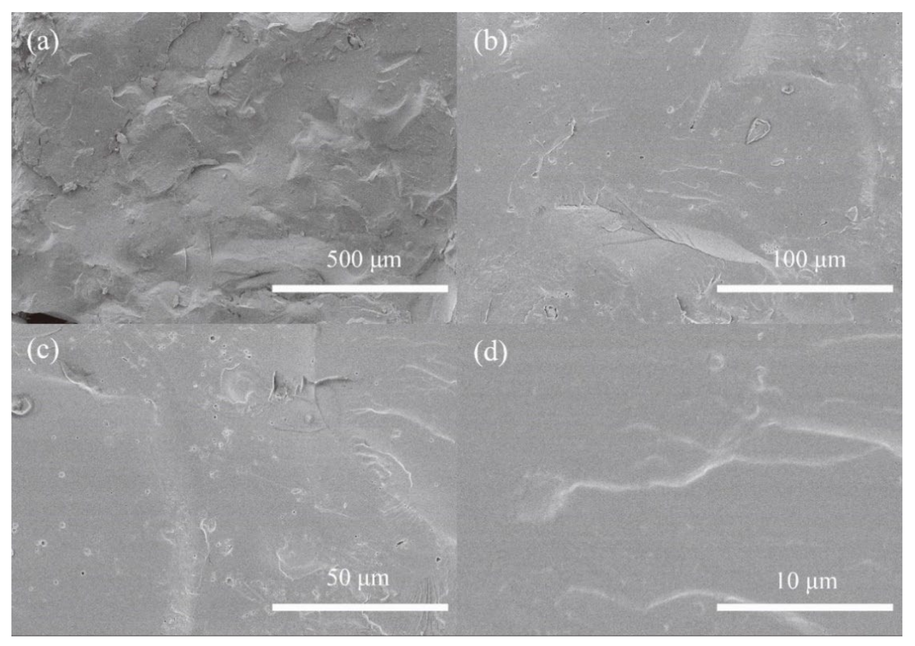 Polymers 13 01679 g005