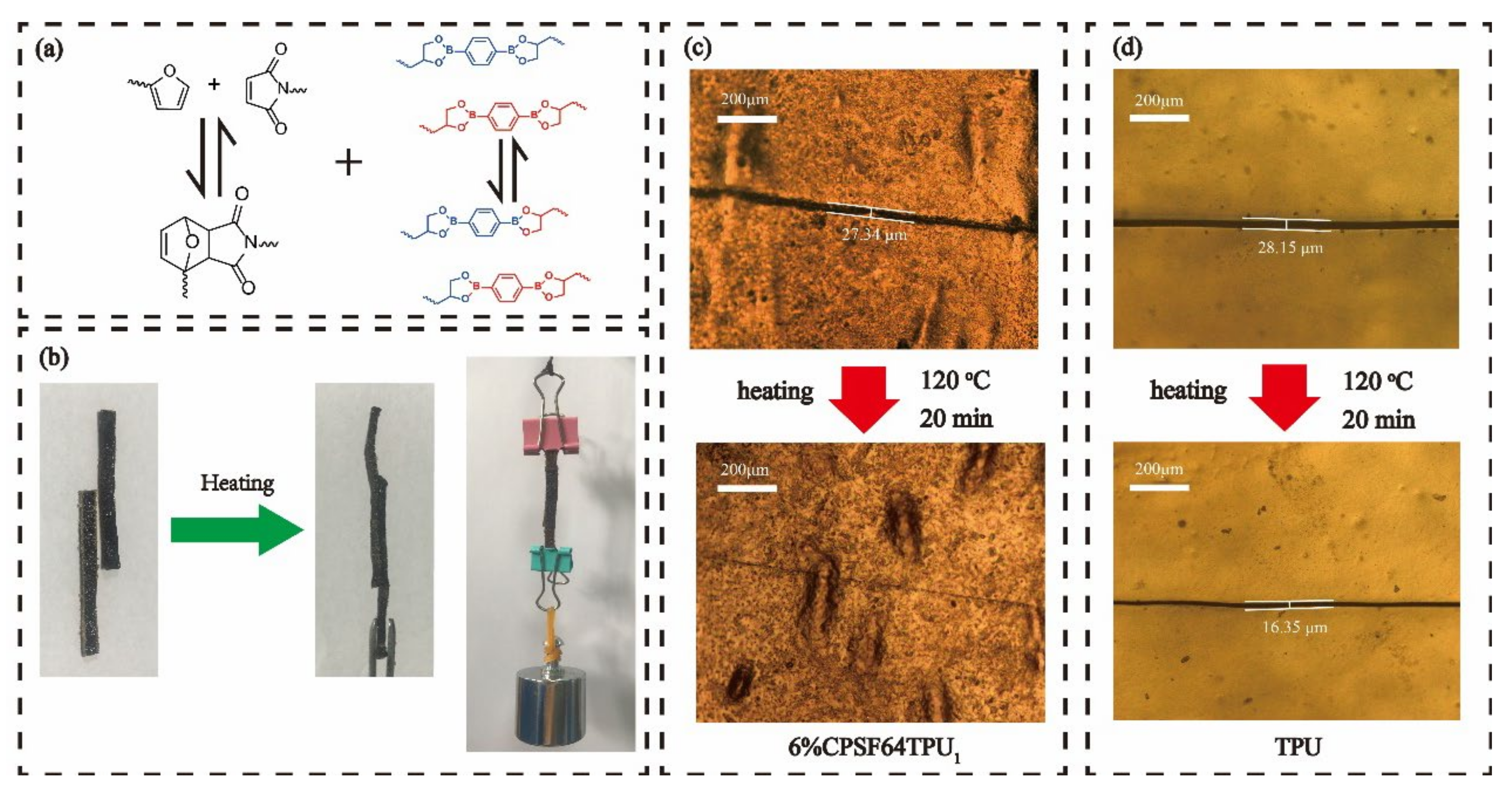 Polymers 13 01679 g011