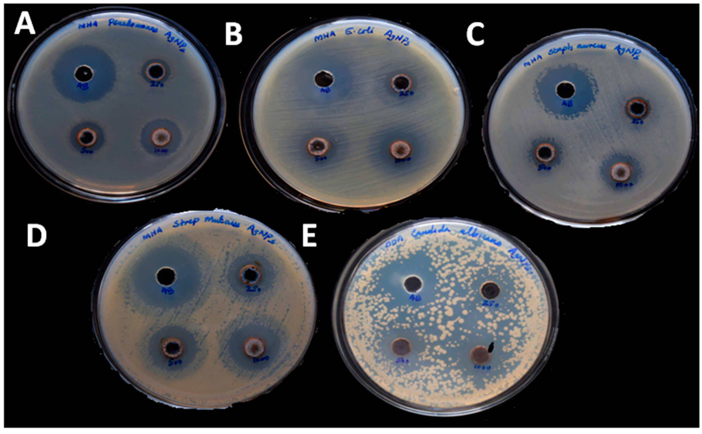 Polymers 13 01680 g005