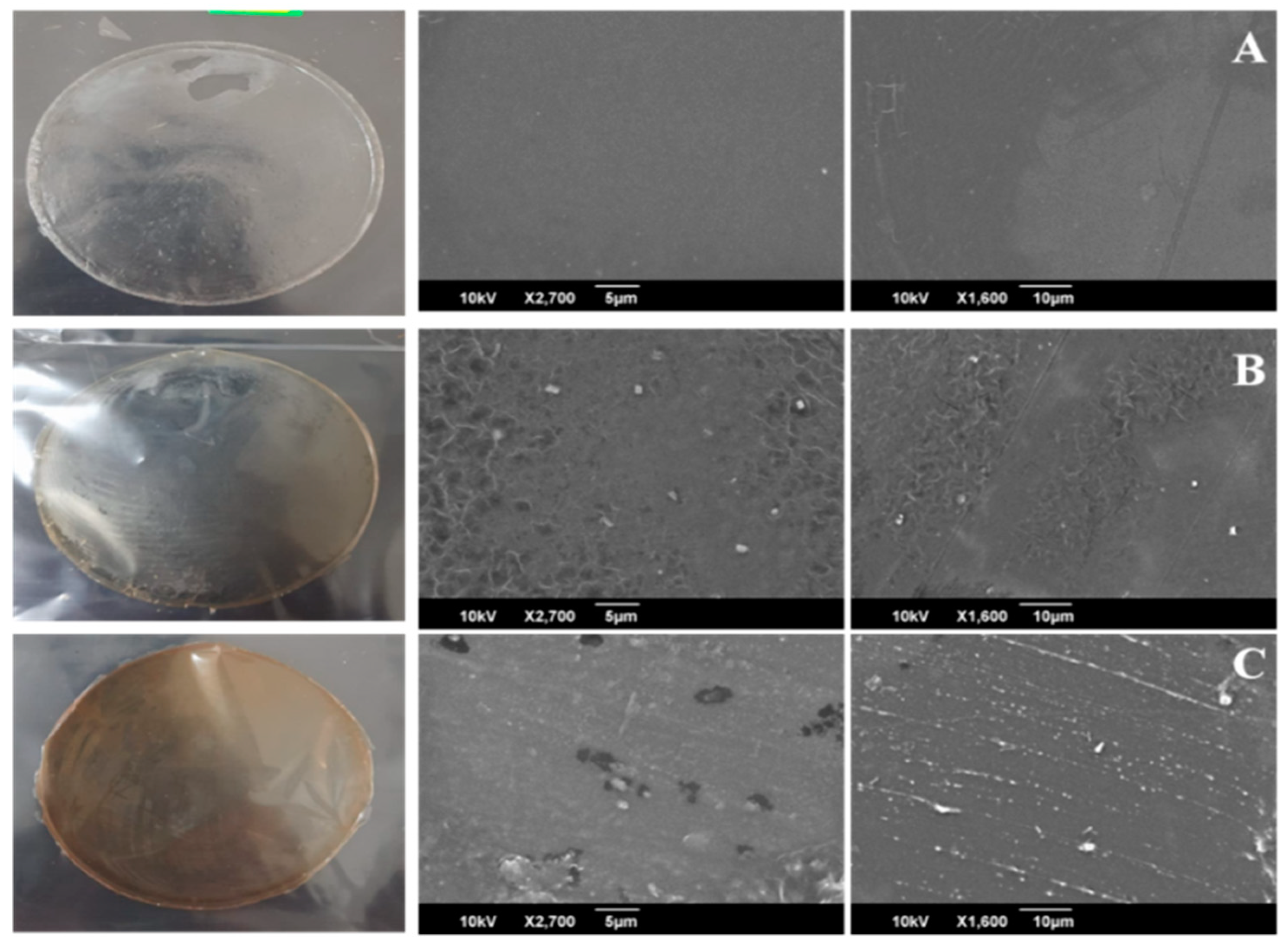 Polymers 13 01680 g007