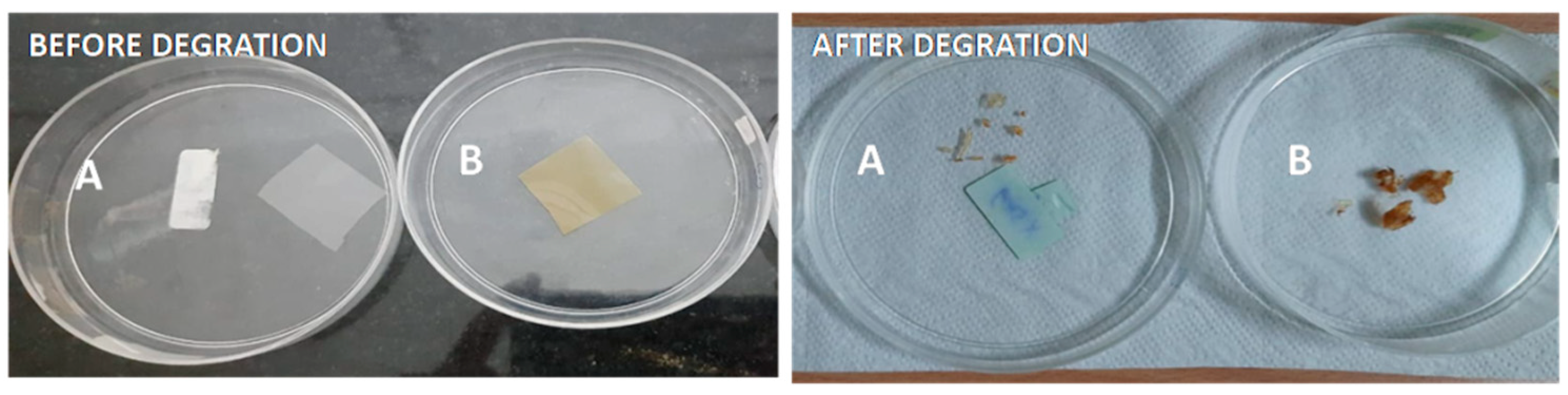 Polymers 13 01680 g010