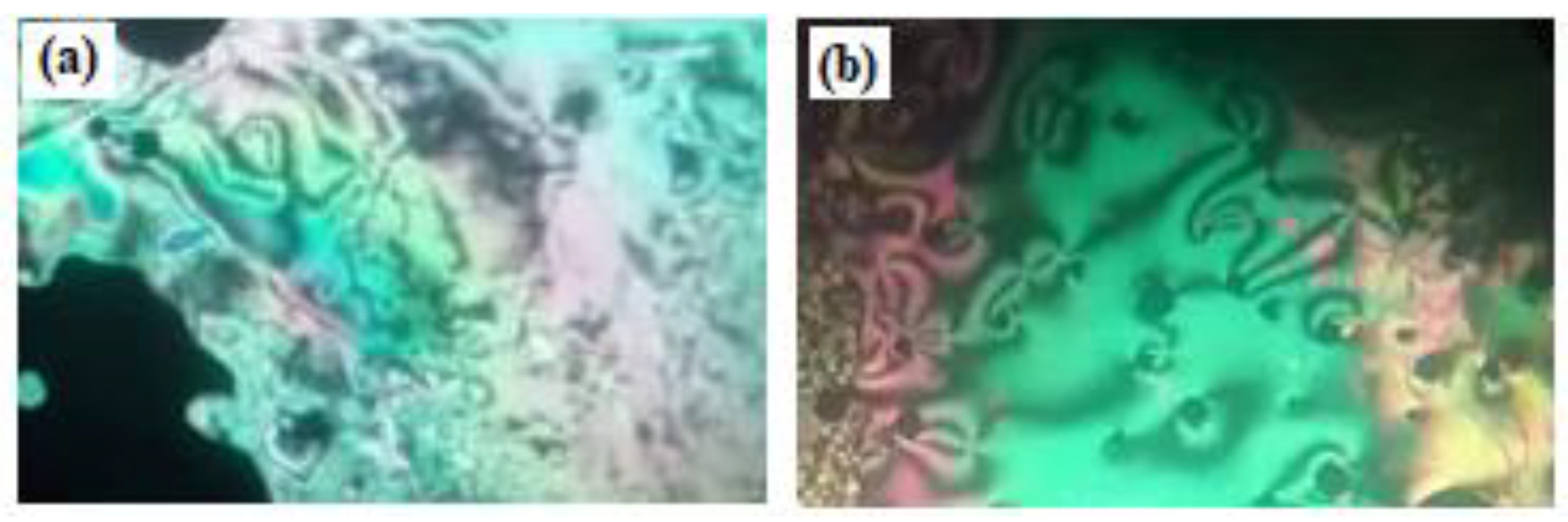 Polymers 13 01687 g002