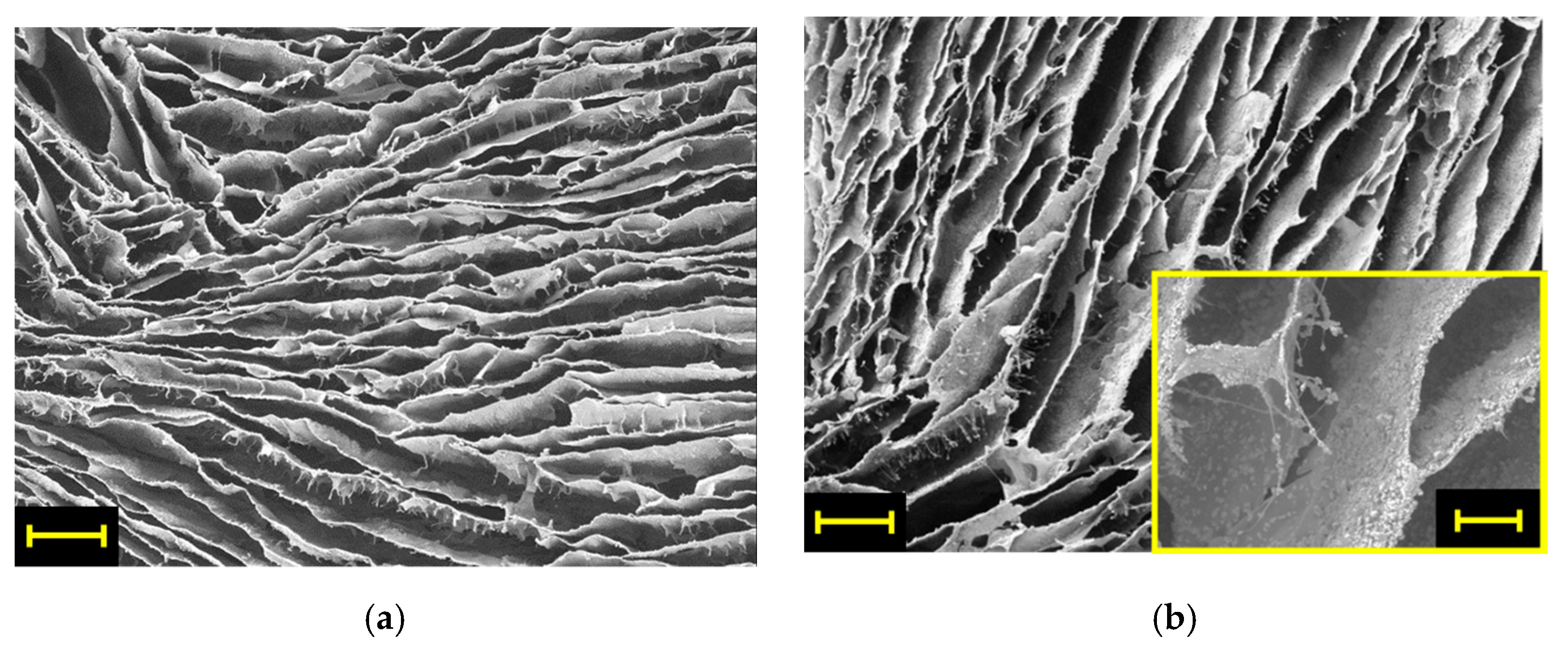 Polymers 13 01691 g001 Polymers 13 01691 g001