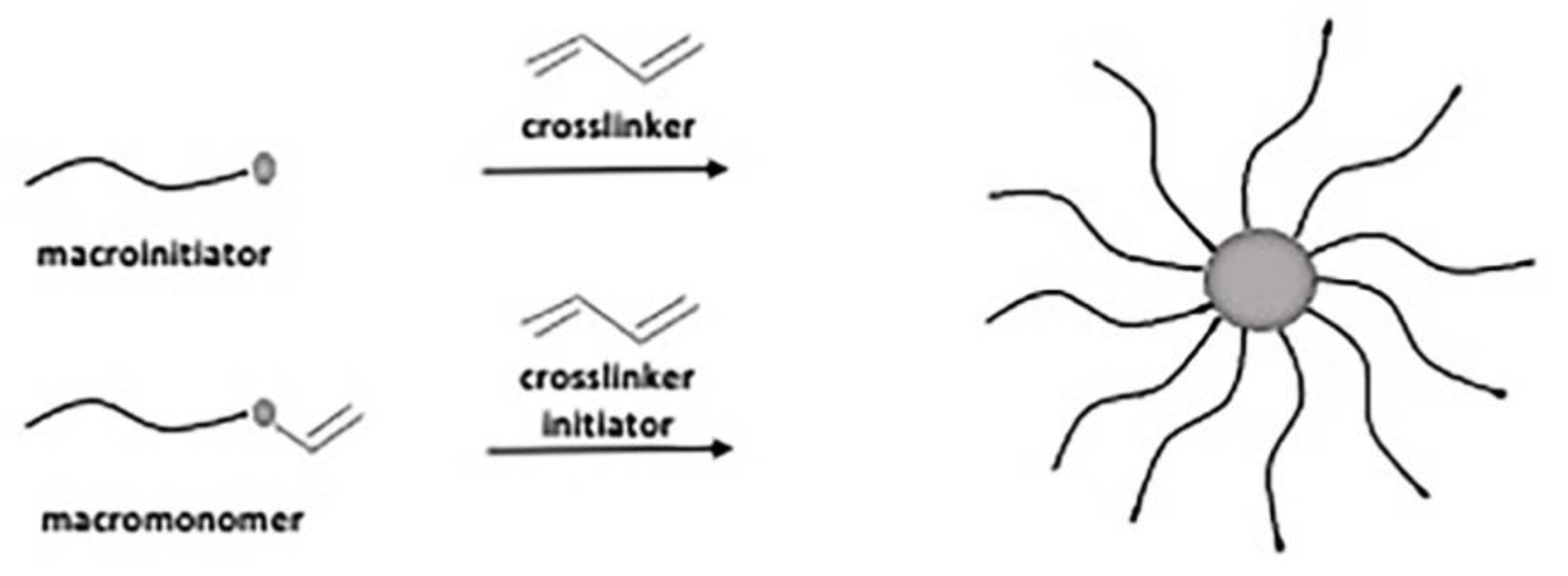 Polymers 13 01698 sch004