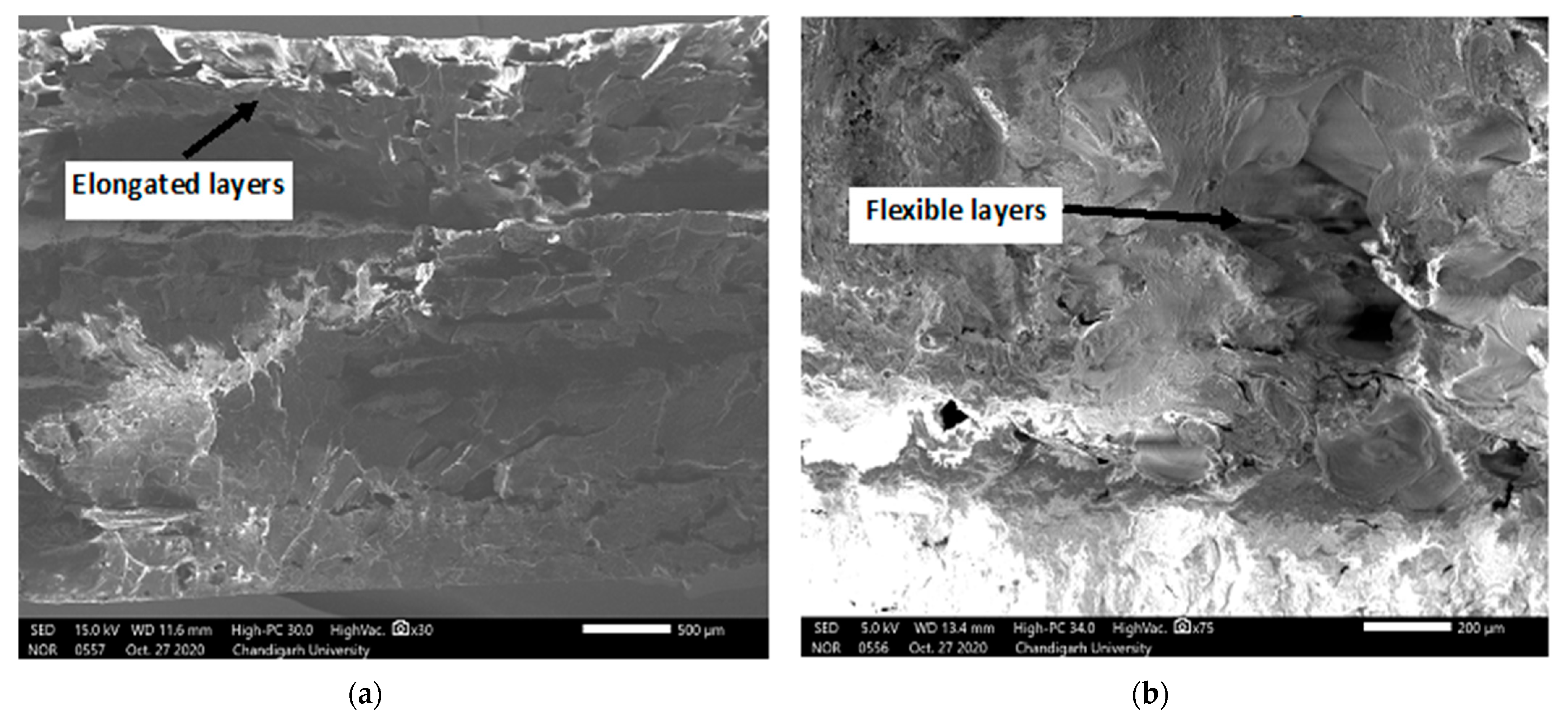 Polymers 13 01702 g011