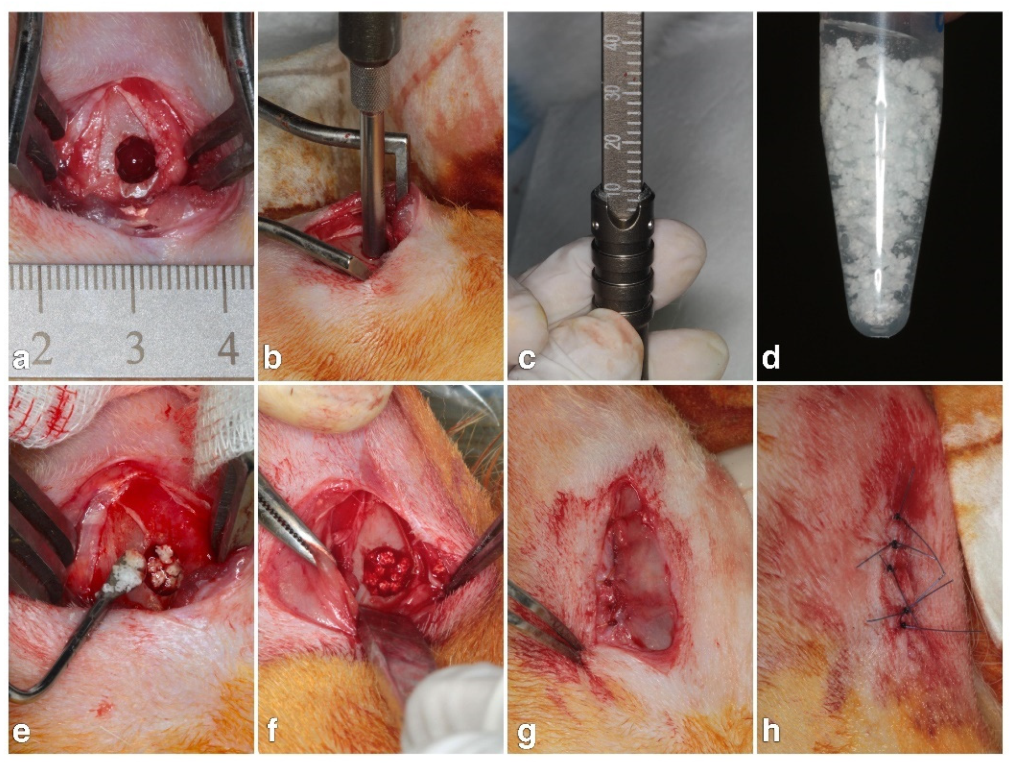 Polymers 13 01708 g001