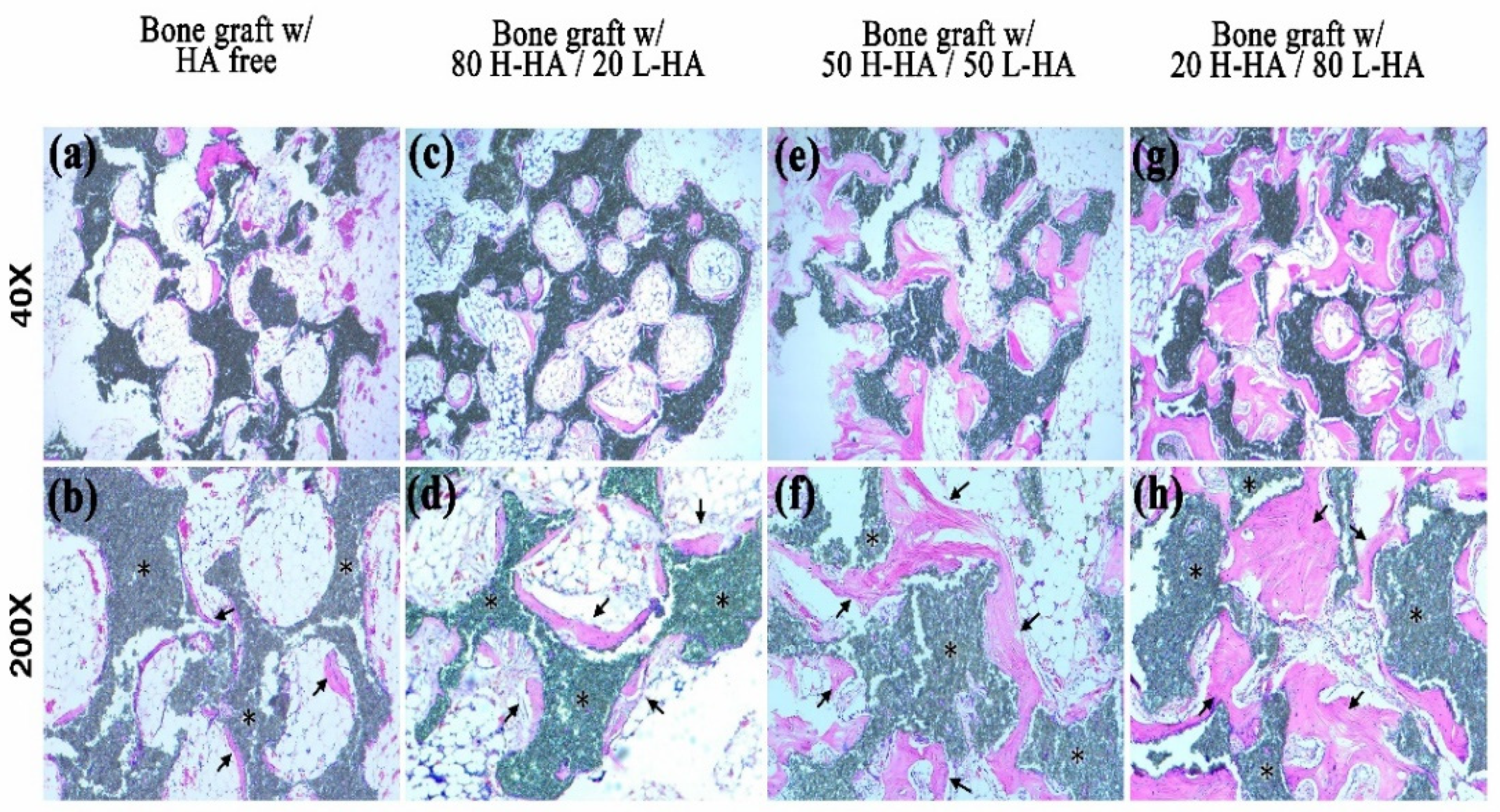 Polymers 13 01708 g006