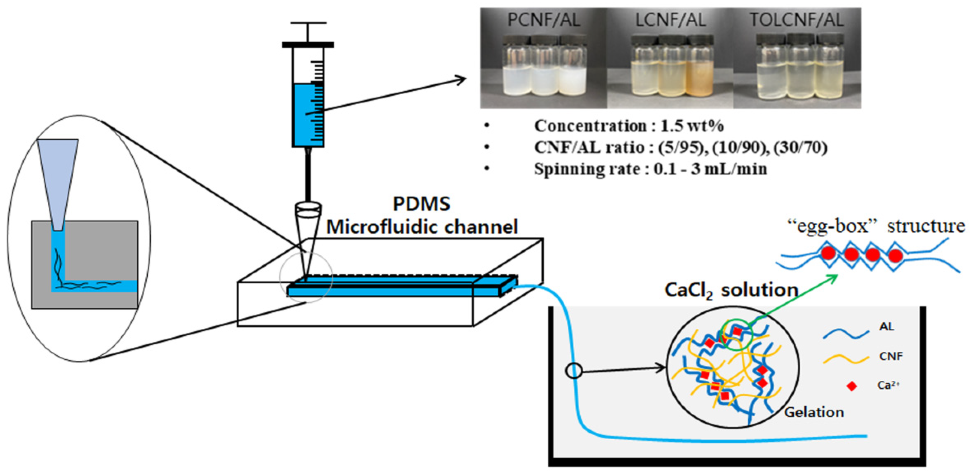 Polymers 13 01709 g001 Polymers 13 01709 g001