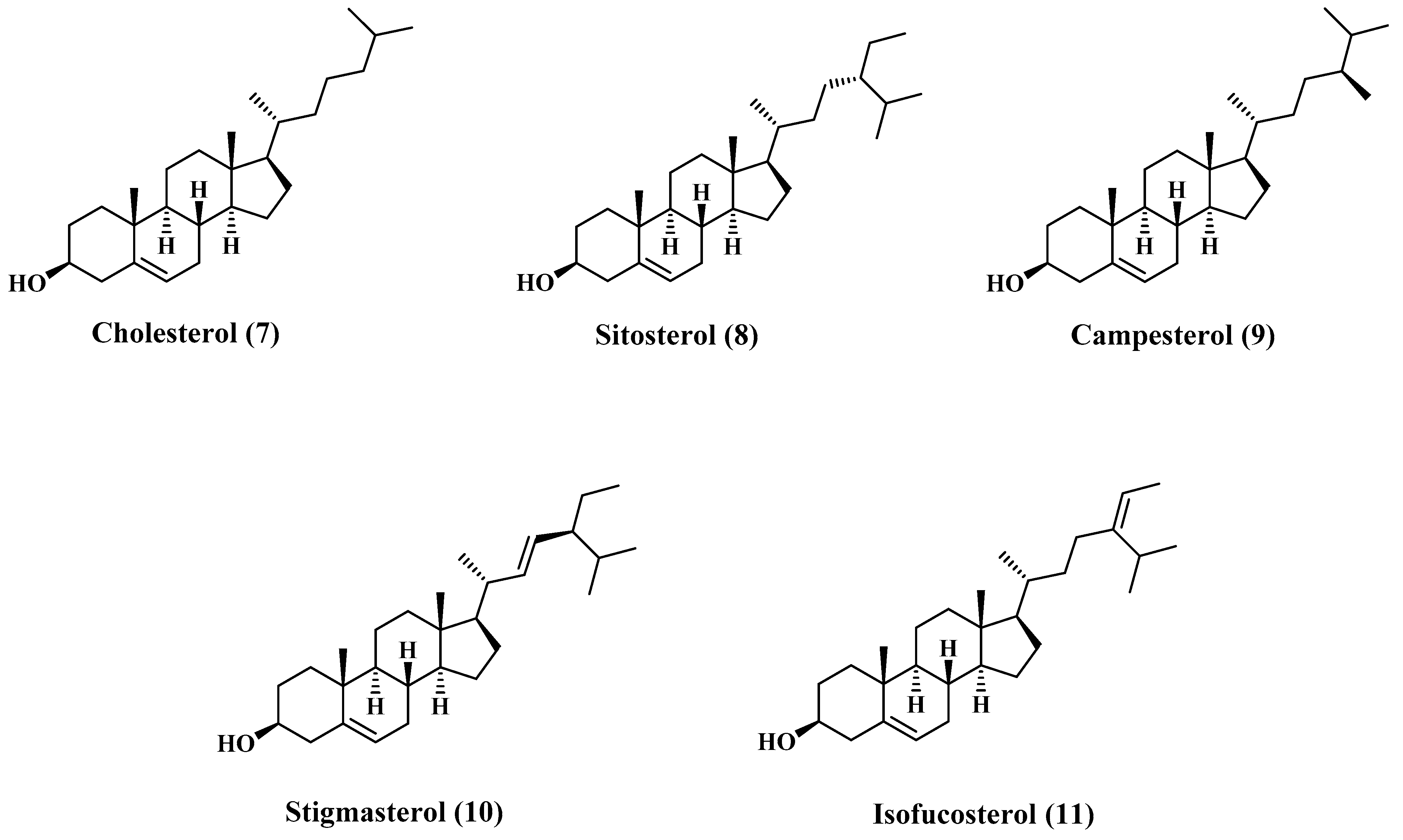 Polymers 13 01711 g002 Polymers 13 01711 g002
