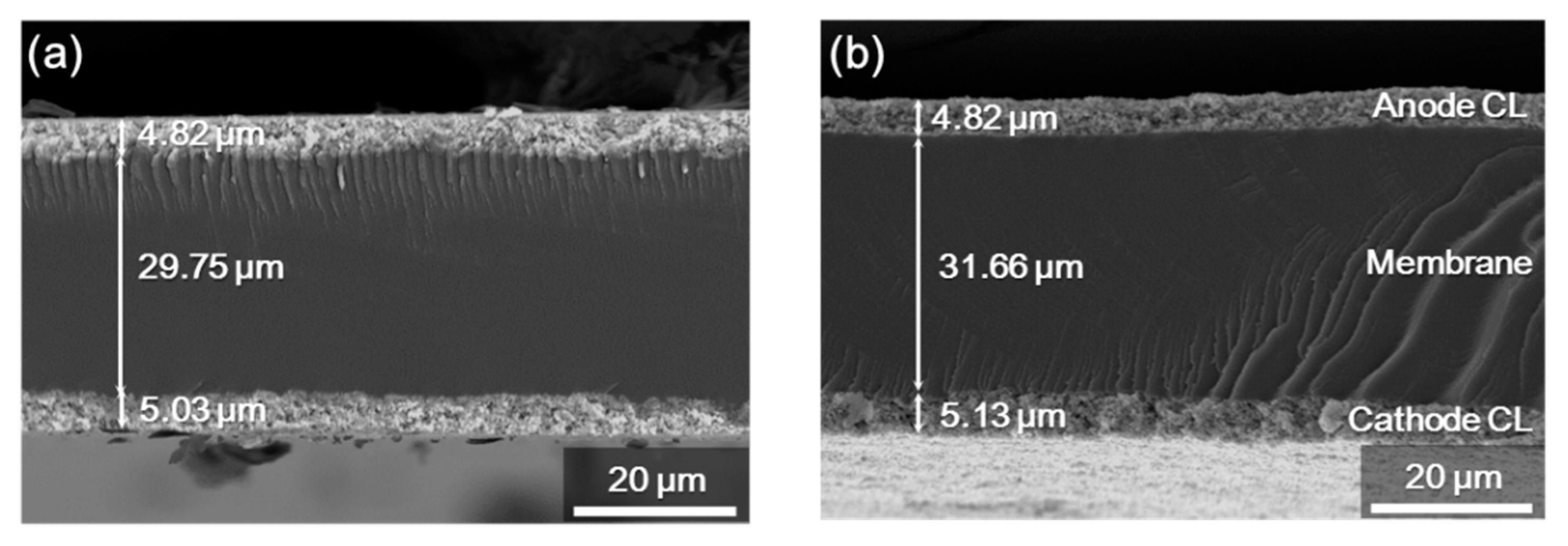 Polymers 13 01713 g007