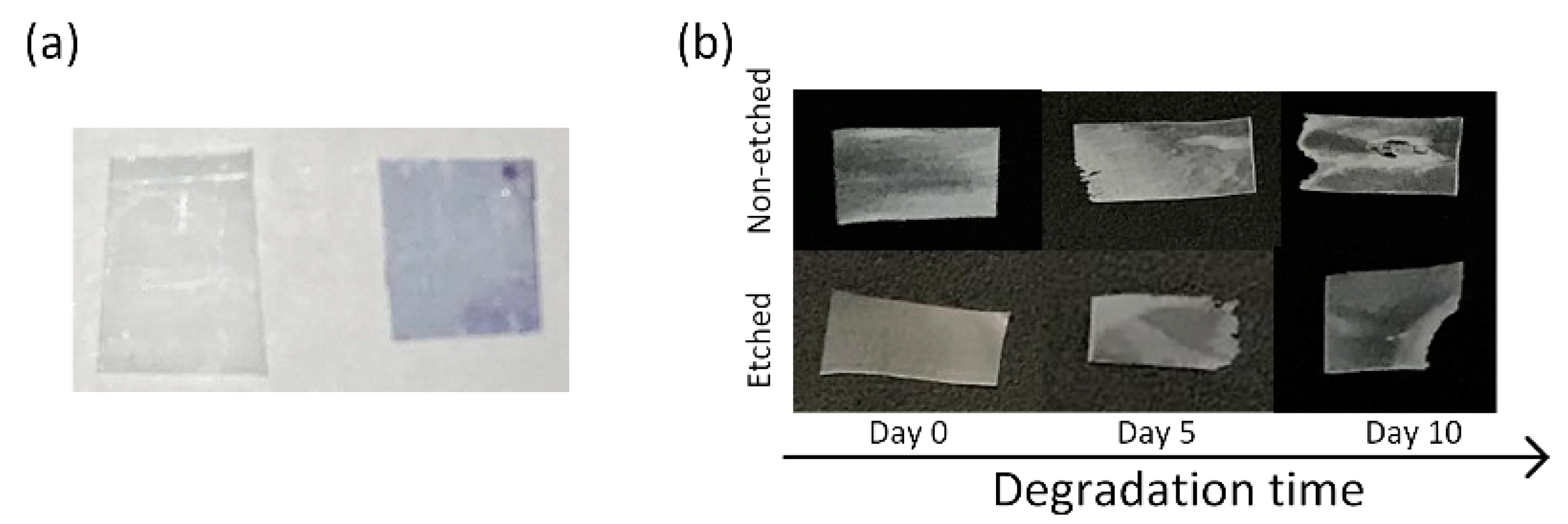 Polymers 13 01719 g001 Polymers 13 01719 g001