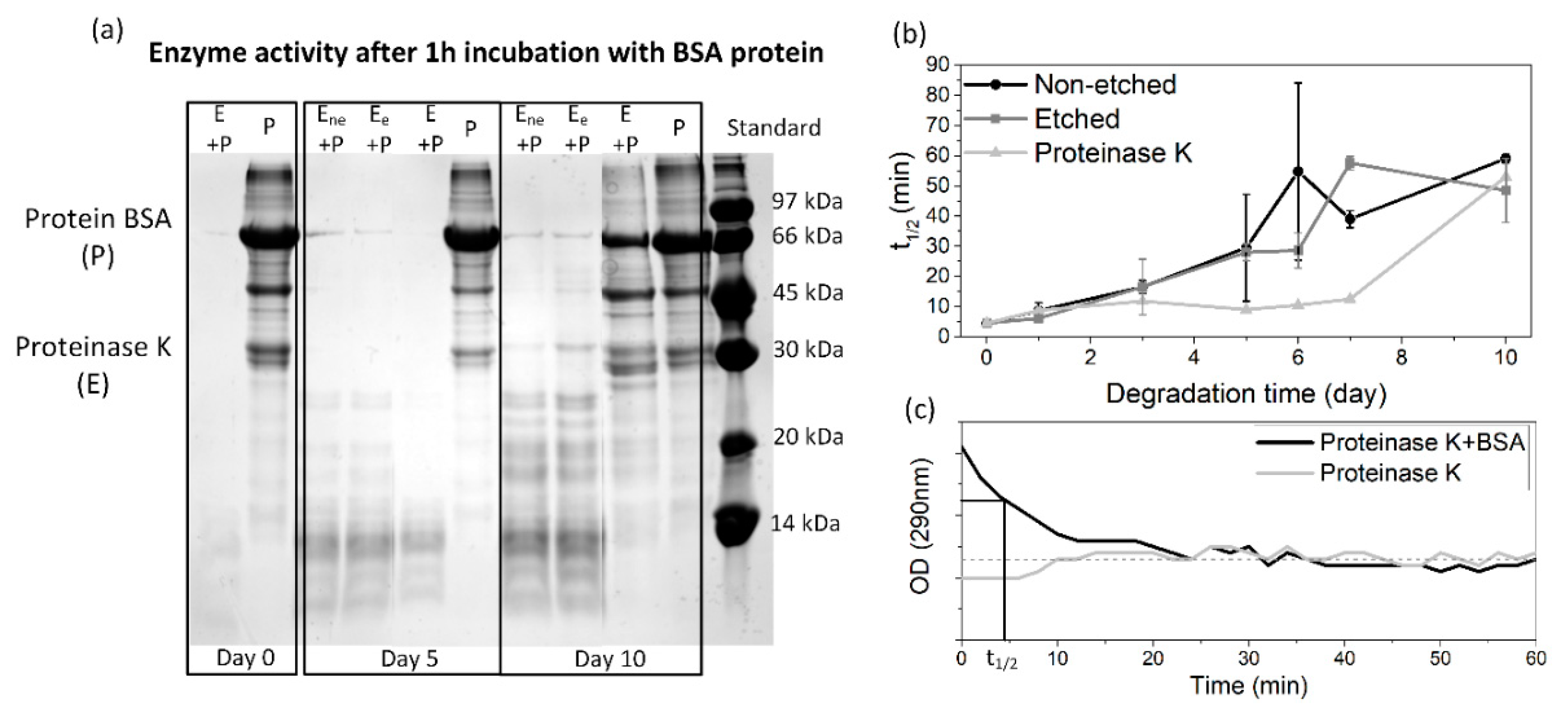 Polymers 13 01719 g002 Polymers 13 01719 g002