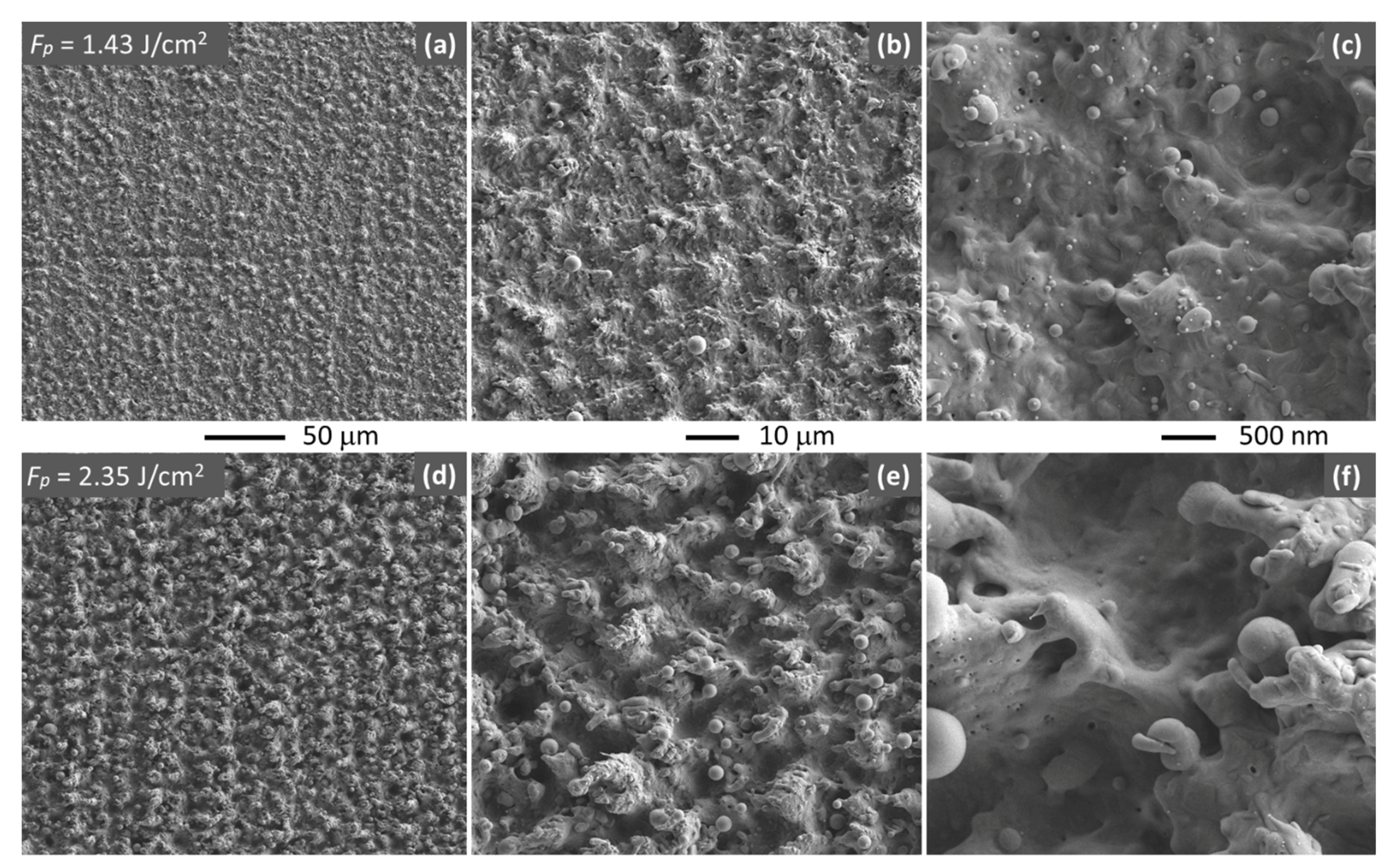 Polymers 13 01721 g003 Polymers 13 01721 g003