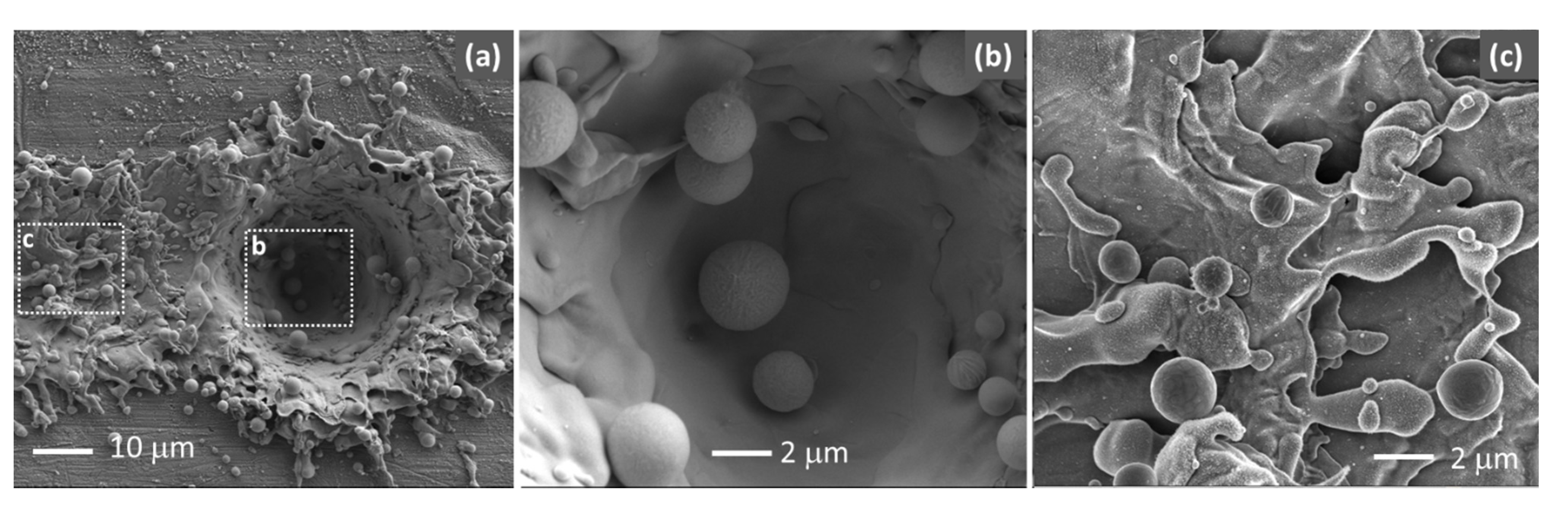Polymers 13 01721 g004 Polymers 13 01721 g004
