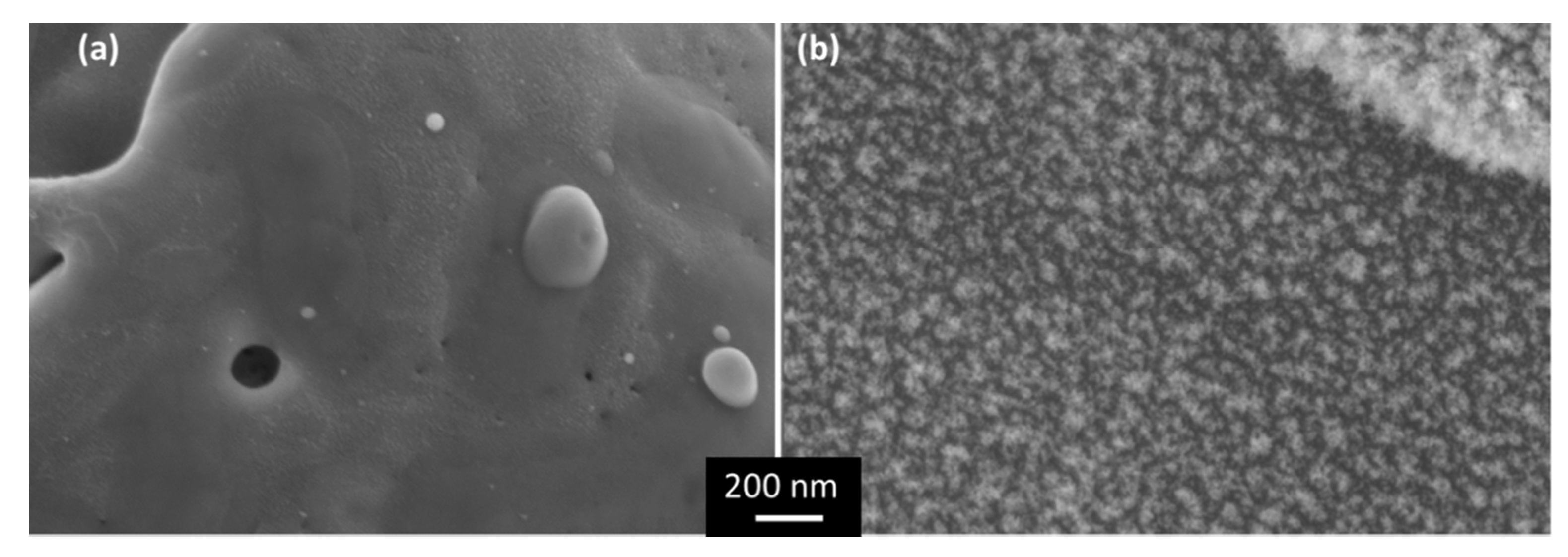 Polymers 13 01721 g005 Polymers 13 01721 g005