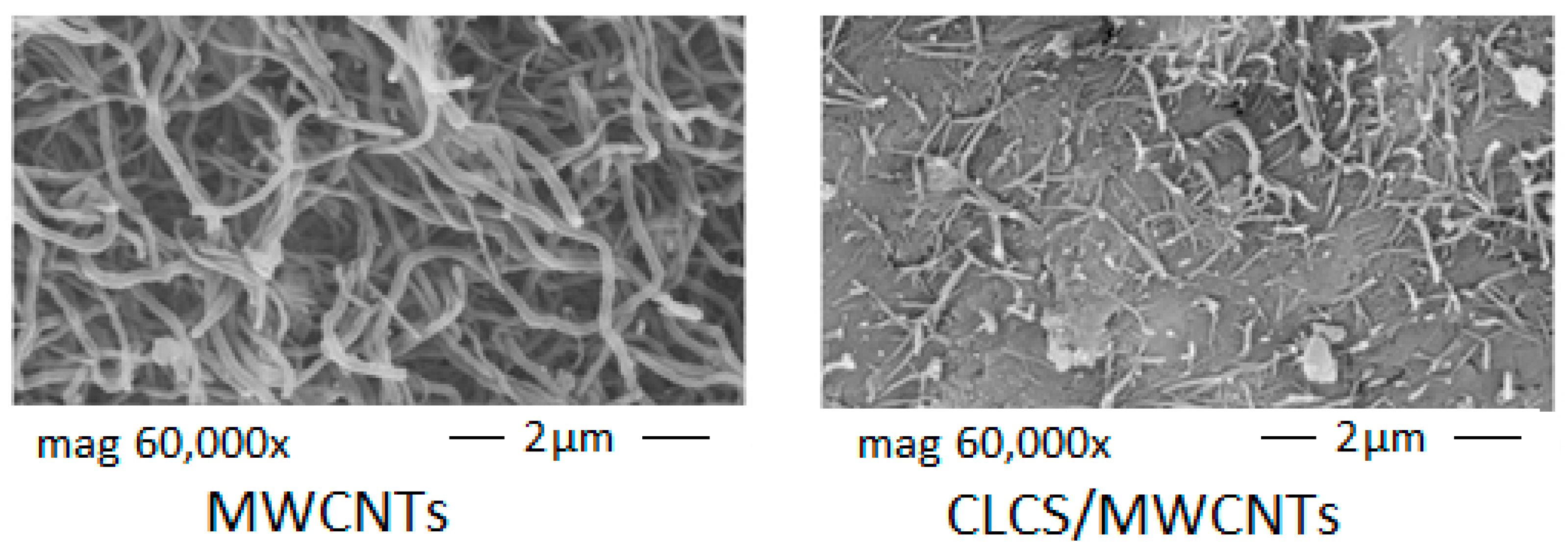 Polymers 13 01728 g004 Polymers 13 01728 g004