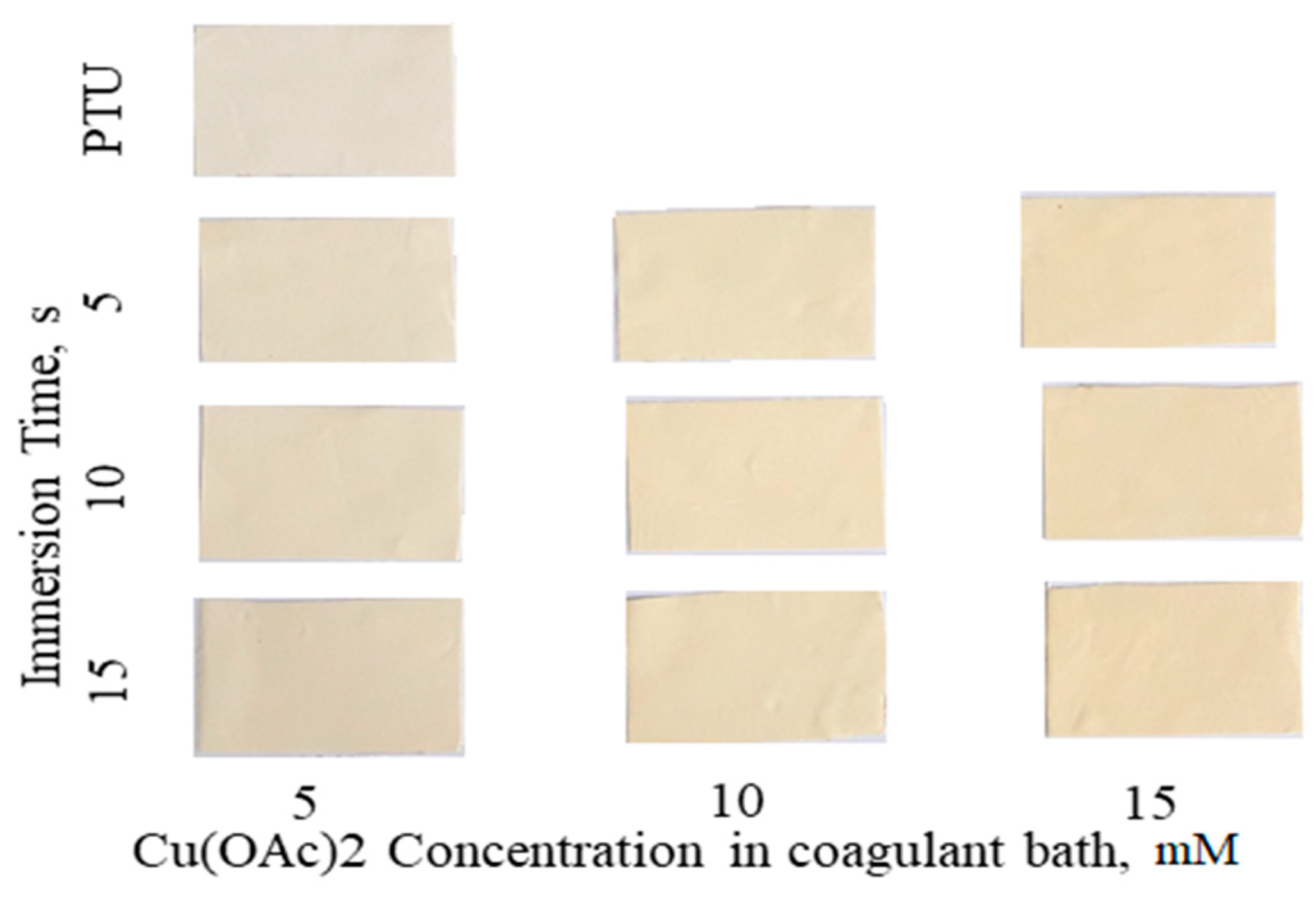Polymers 13 01743 g003