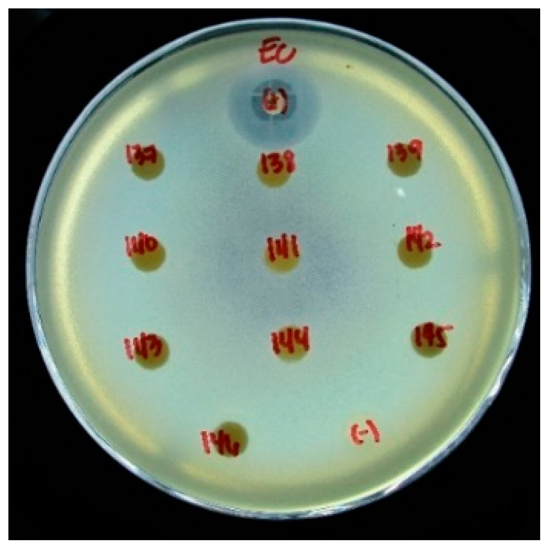 Polymers 13 01743 g011