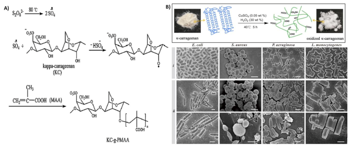 Polymers 13 01744 g003
