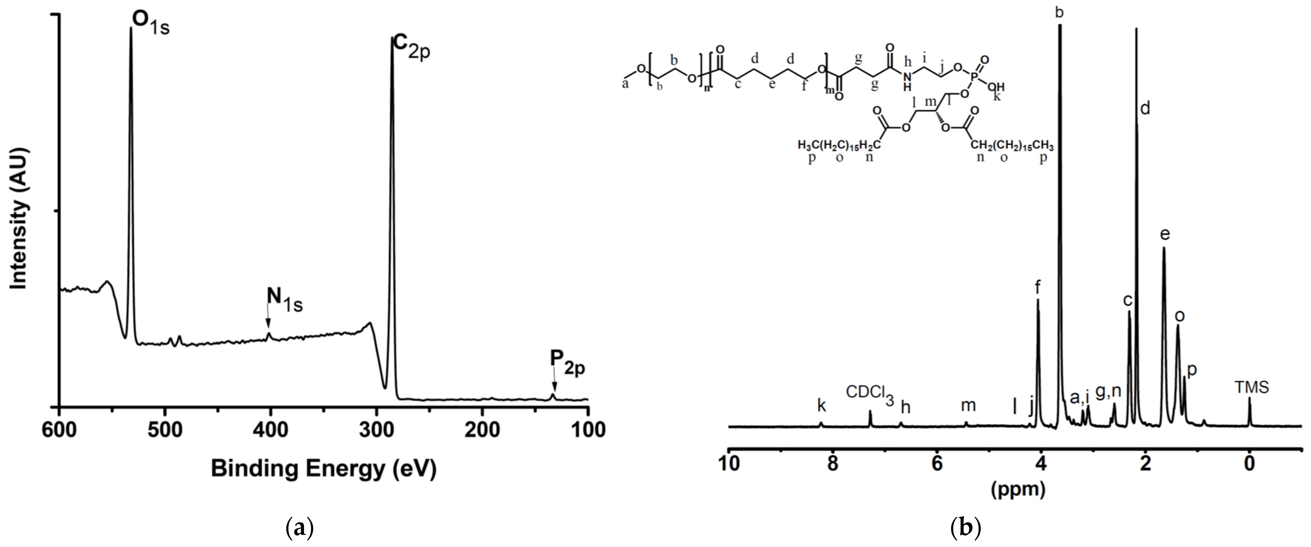 Polymers 13 01747 g001 Polymers 13 01747 g001
