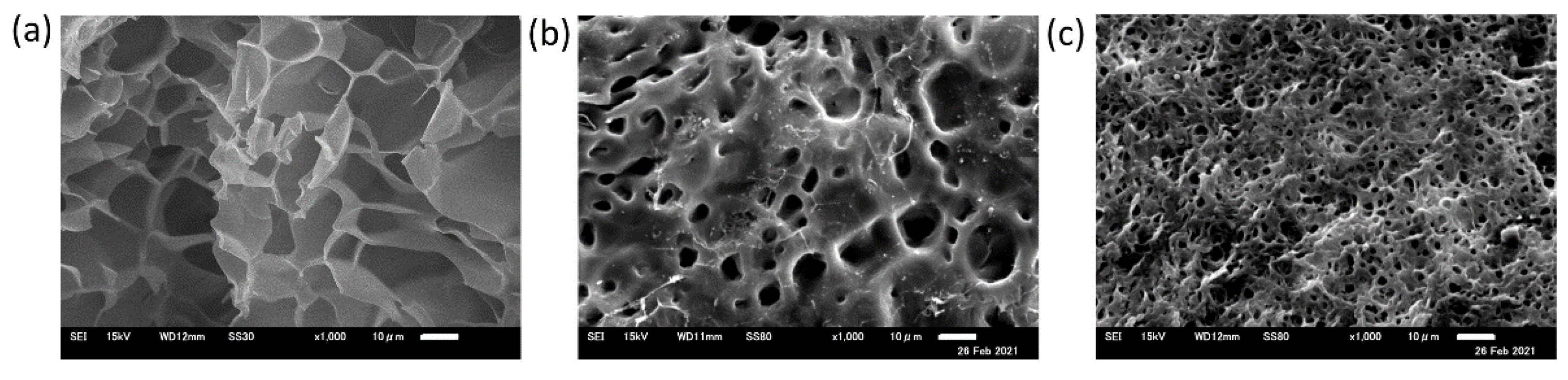 Polymers 13 01750 g004 Polymers 13 01750 g004