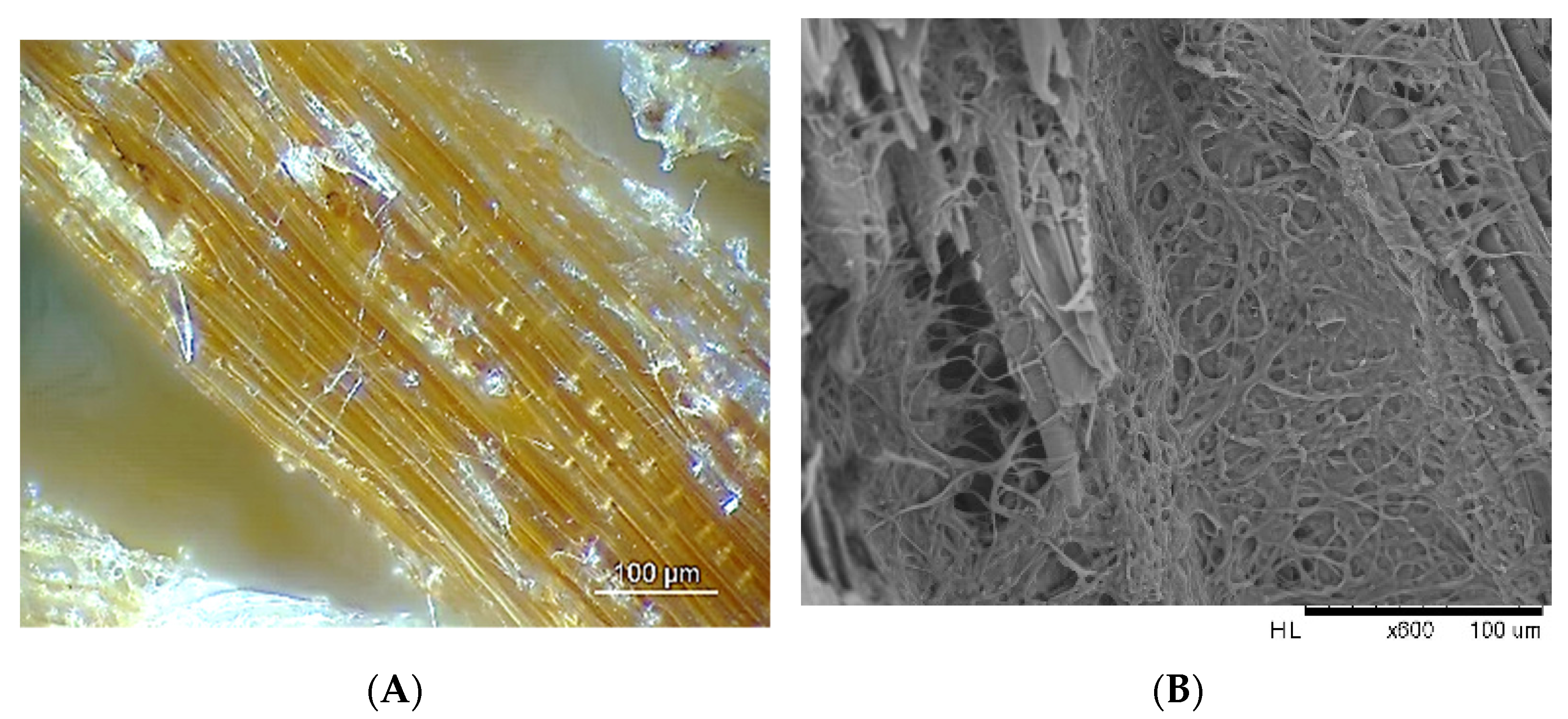 Polymers 13 01752 g007