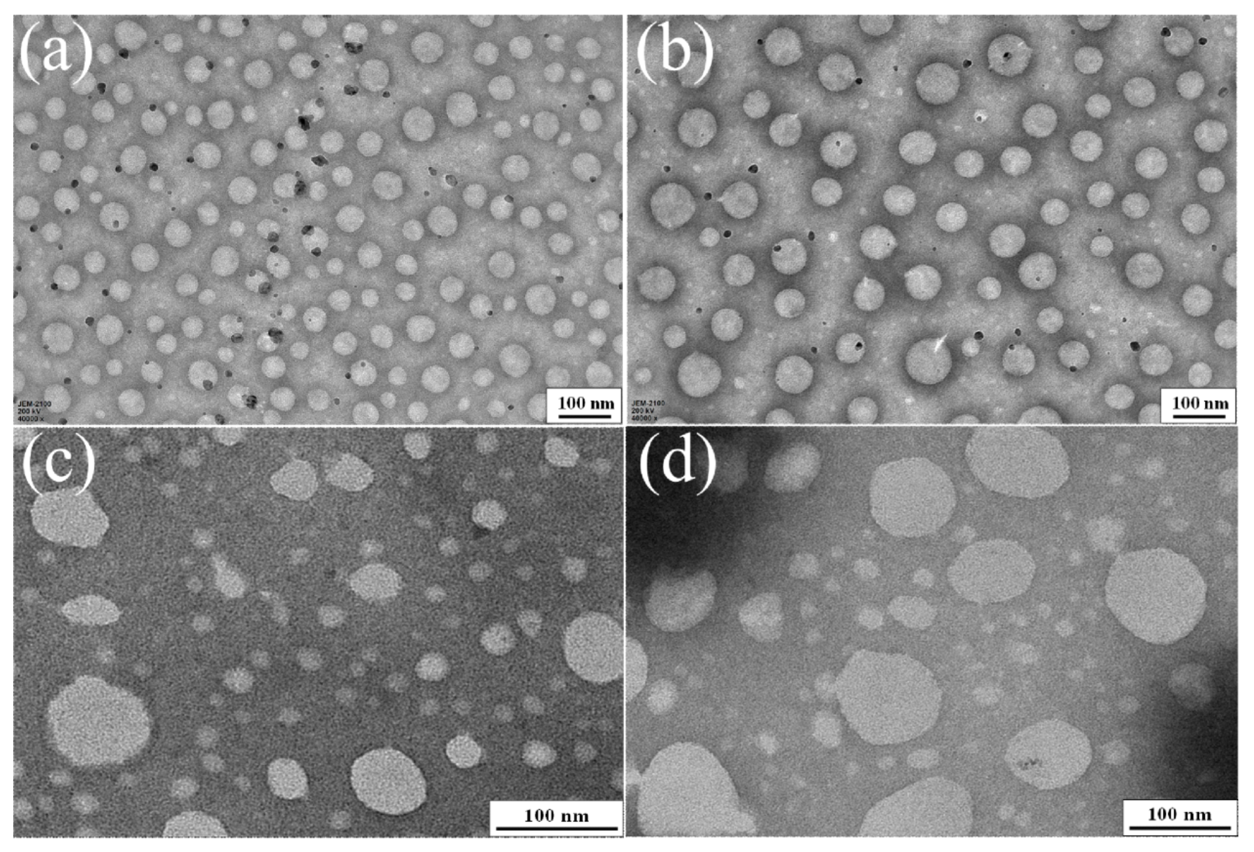 Polymers 13 01755 g003