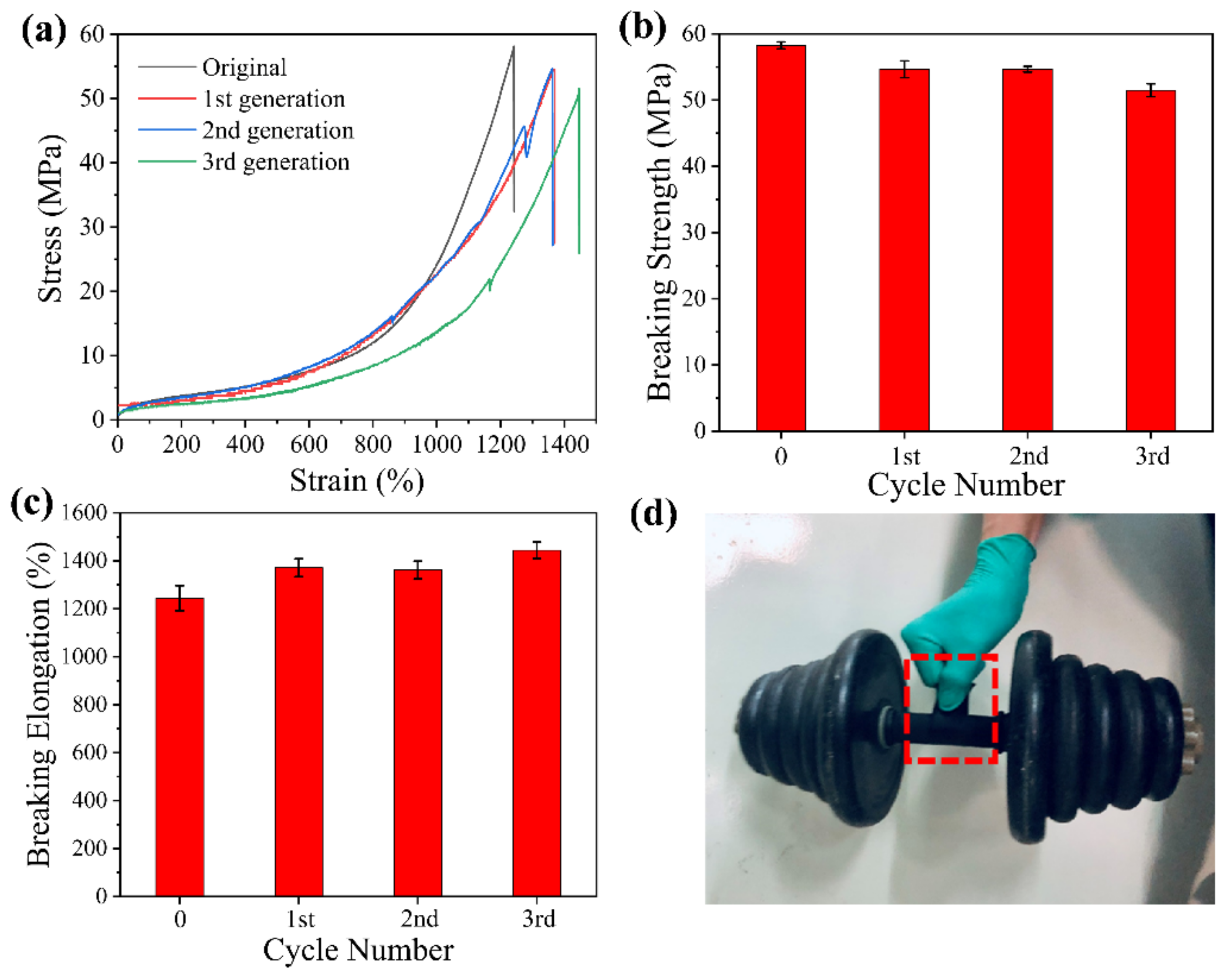 Polymers 13 01755 g012
