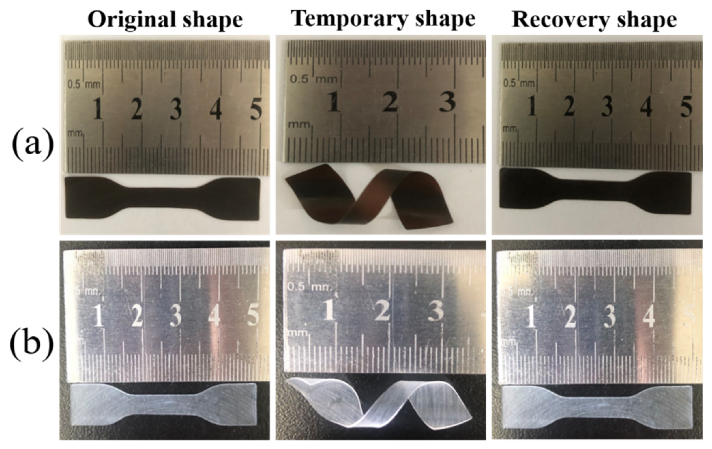 Polymers 13 01755 g014