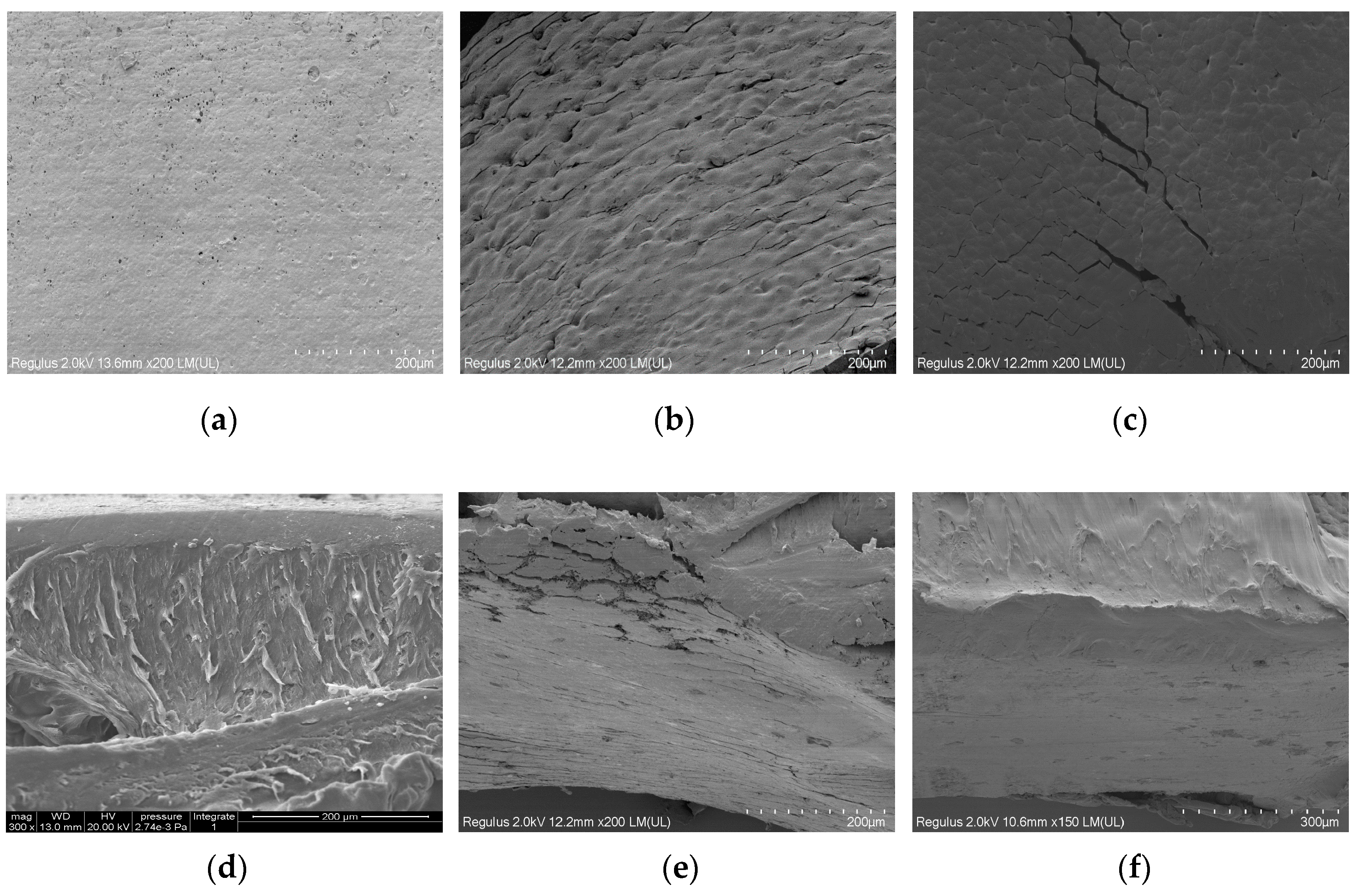 Polymers 13 01757 g007 Polymers 13 01757 g007