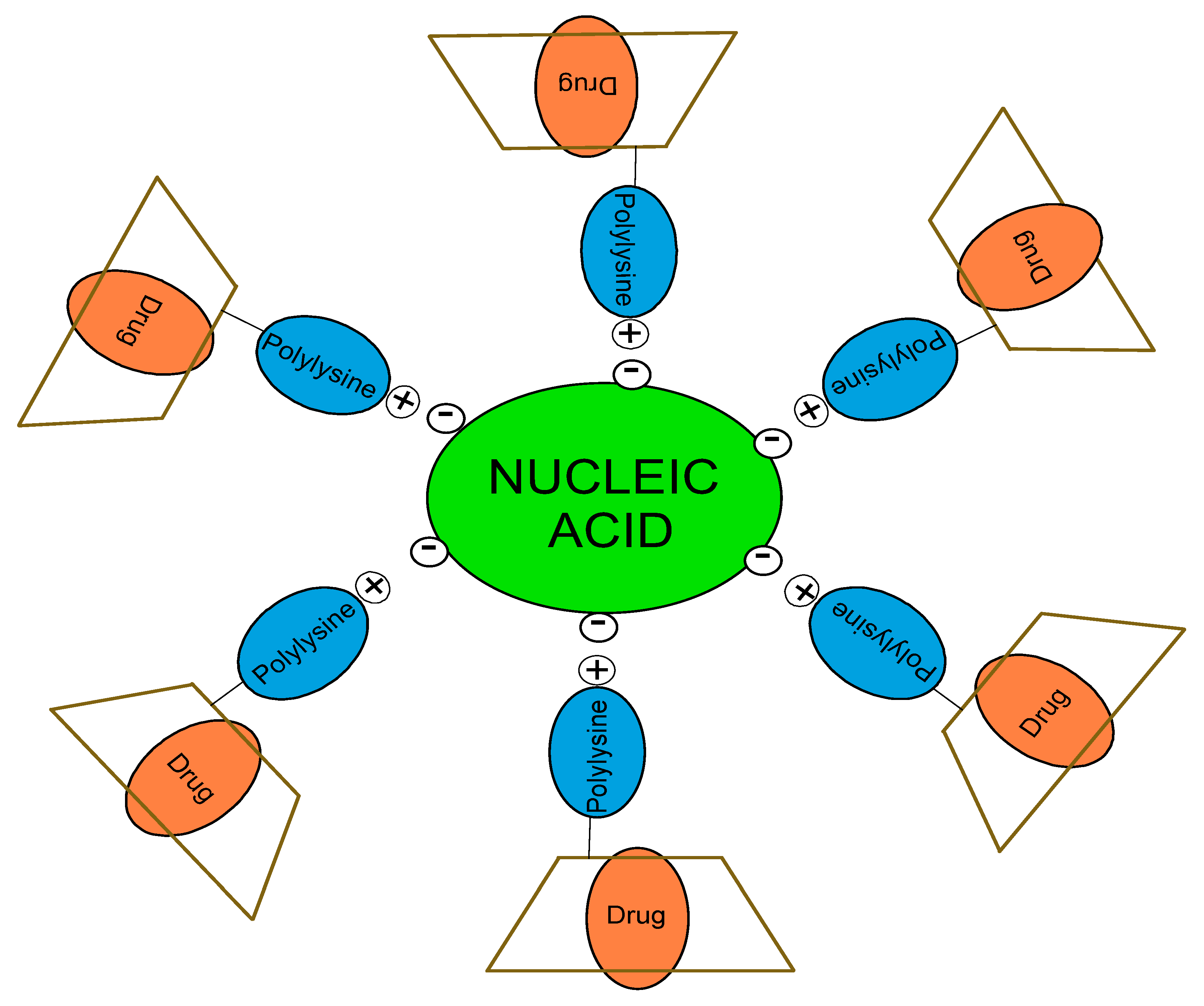 Polymers 13 01759 g003 Polymers 13 01759 g003