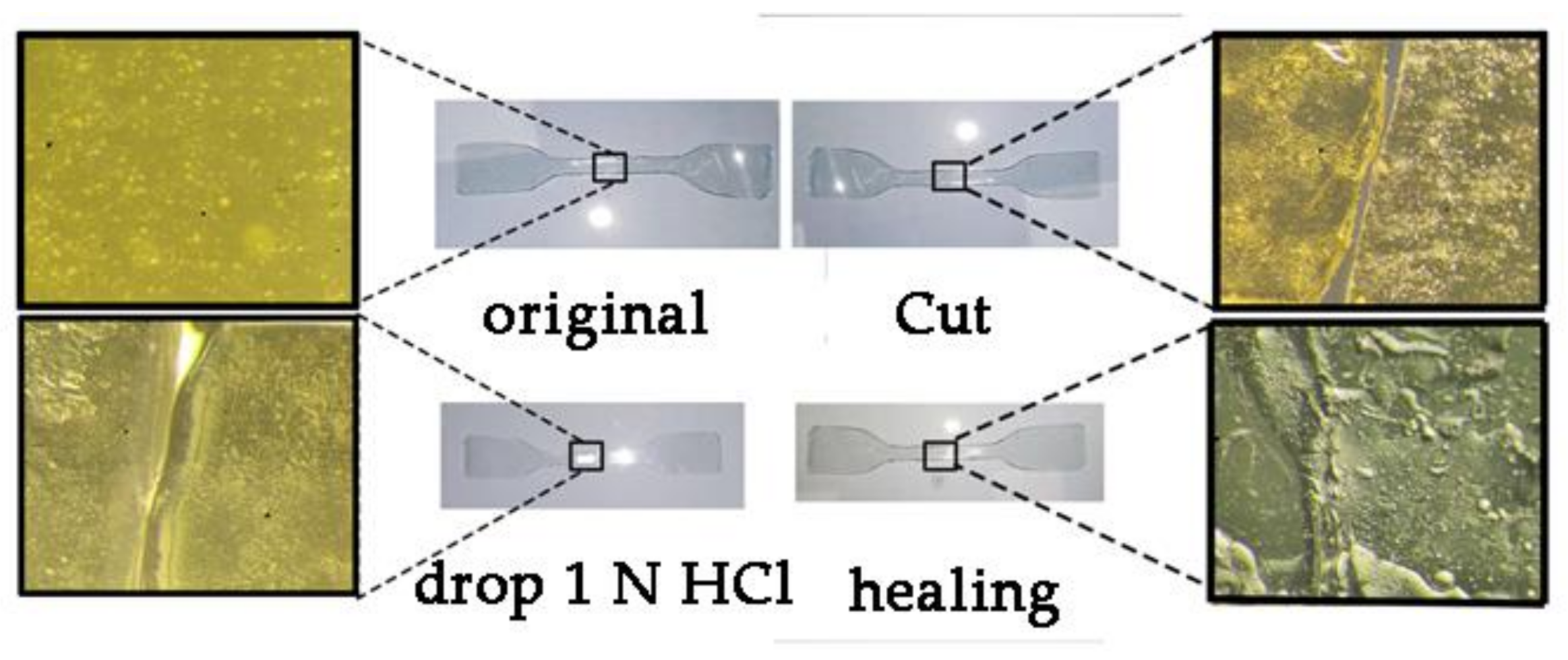 Polymers 13 01760 g009