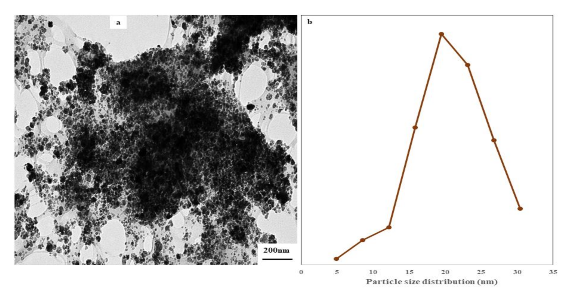 Polymers 13 01778 g001