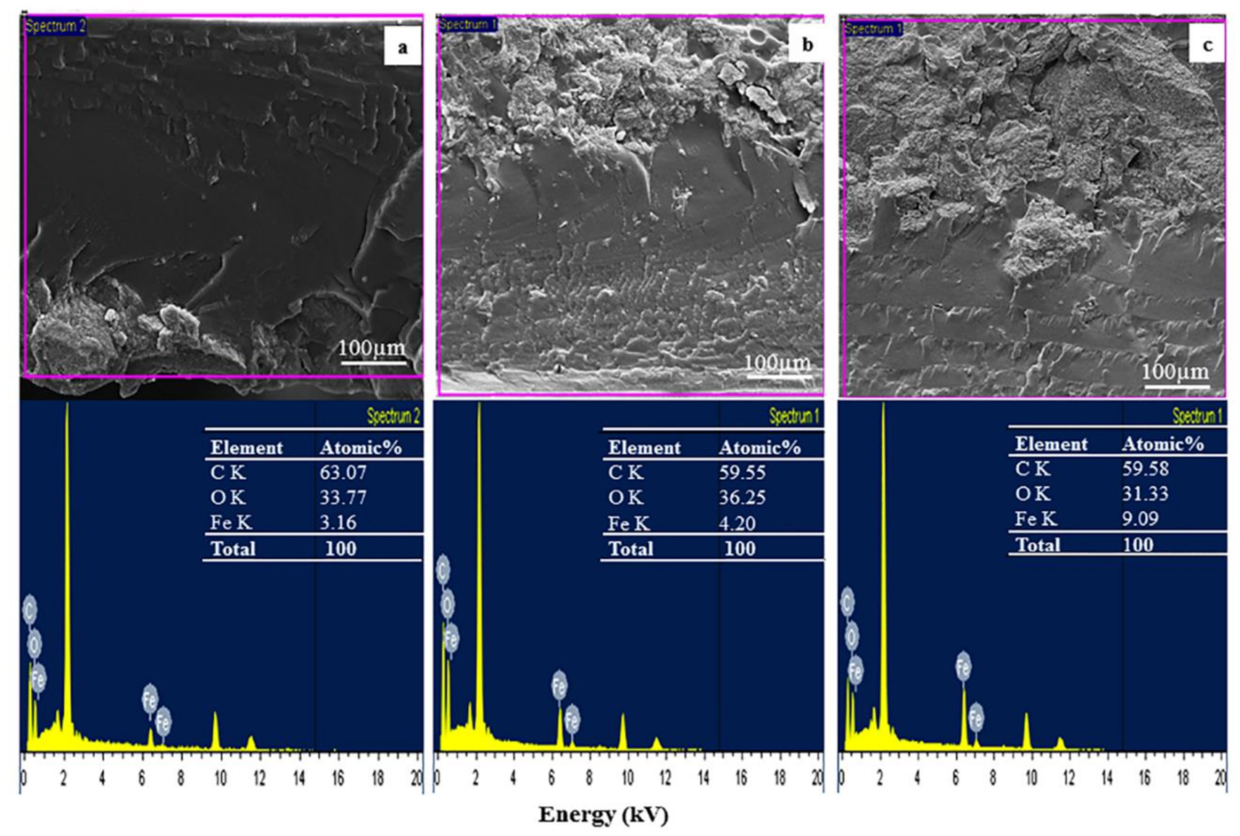 Polymers 13 01778 g002